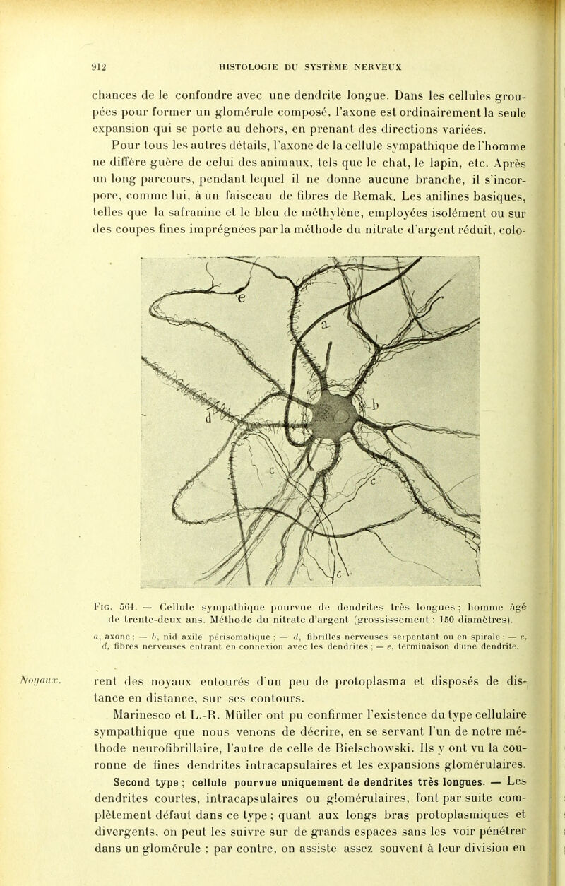 chances de le confondre avec une dendrile longue. Dans les cellules grou- pées pour former un glomérule composé, l'axone est ordinairement la seule expansion qui se porte au dehors, en prenant des directions variées. Pour tous les autres détails, l'axone de la cellule sympathique de l'homme ne diffère guère de celui des animaux, tels que le chat, le lapin, etc. Après un long parcours, pendant lequel il ne donne aucune branche, il s'incor- pore, comme lui, à un faisceau de fibres de Remak. Les anilines basiques, telles que la safranine et le bleu de méthylène, employées isolément ou sur des coupes fines imprégnées parla méthode du nitrate d'argent réduit, colo- Fig. 504. — Cellule sympathique pourvue de dendrites très longues ; homme âgé de trente-deux ans. Méthode du nitrate d'argent (grossissement : 150 diamètres). a, axone; — 6, nid axile périsomatique ; — d, fibrilles nerveuses serpentant ou en spirale ; — c, d, fibres nerveuses entrant en connexion avec les dendrites ; — e, terminaison d'une dendrite. rent des noyaux entourés d'un peu de protoplasma et disposés de dis- tance en distance, sur ses contours. Marinesco et L.-R. Mïiiler ont pu confirmer l'existence du type cellulaire sympathique que nous venons de décrire, en se servant l'un de notre mé- thode neurofibrillaire, l'autre de celle de Bielschowski. Ils y ont vu la cou- ronne de fines dendrites intracapsulaires et les expansions glomérulaires. Second type ; cellule pour?ue uniquement de dendrites très longues. — Les dendrites courtes, intracapsulaires ou glomérulaires, font par suite com- plètement défaut dans ce type ; quant aux longs bras protoplasmiques et divergents, on peut les suivre sur de grands espaces sans les voir pénétrer dans un glomérule ; par contre, on assiste assez souvent à leur division en