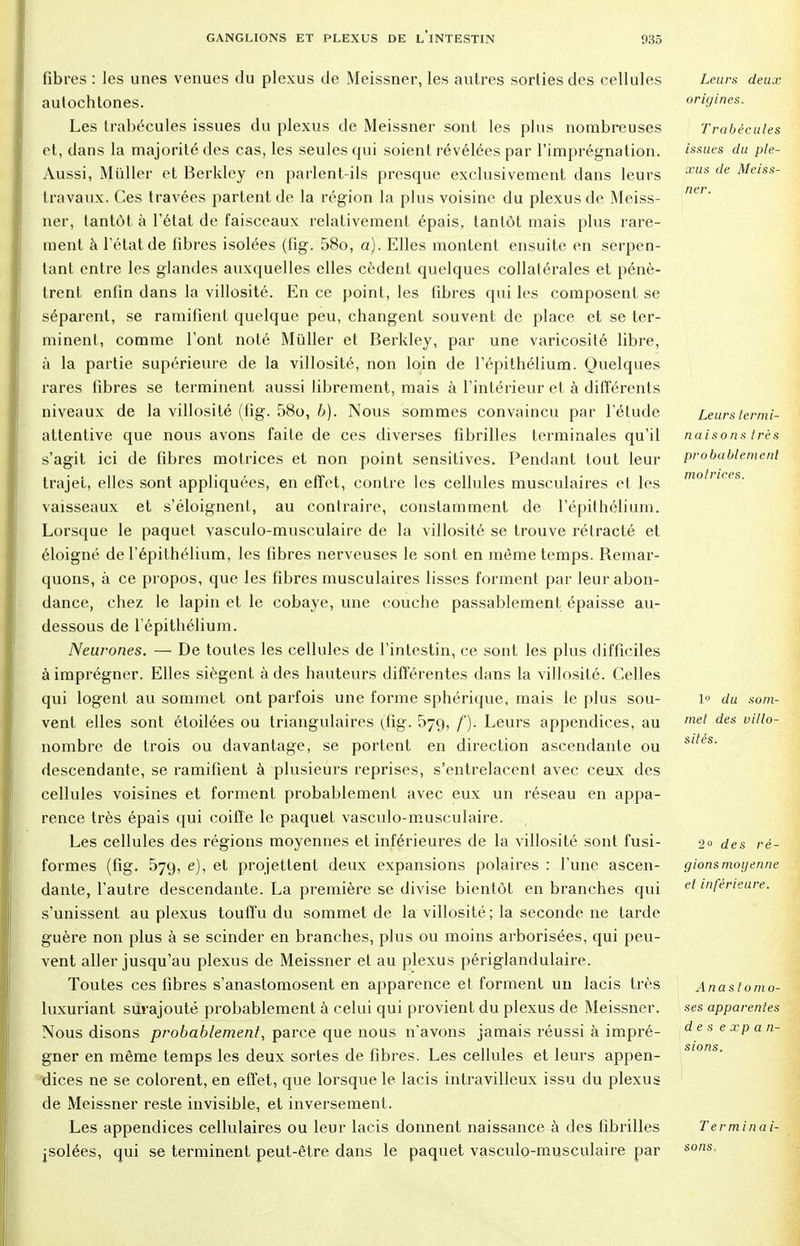 fibres : les unes venues du plexus de Meissner, les autres sorties des cellules autochtones. Les trabécules issues du plexus de Meissner sont les plus nombreuses et, dans la majorité des cas, les seules qui soient révélées par l'imprégnation. Aussi, Miiller et Berkley en parlent-ils presque exclusivement dans leurs travaux. Ces travées partent de la région la plus voisine du plexus de Meiss- ner, tantôt à l'état de faisceaux relativement épais, tantôt mais plus rare- ment à l'état de libres isolées (fig. 58o, a). Elles montent ensuite en serpen- tant entre les glandes auxquelles elles cèdent quelques collatérales et pénè- trent enfin dans la villosité. En ce point, les fibres qui les composent se séparent, se ramifient quelque peu, changent souvent de place et se ter- minent, comme l'ont noté Miiller et Berkley, par une varicosité libre, à la partie supérieure de la villosité, non loin de l'épithélium. Quelques rares fibres se terminent aussi librement, mais à l'intérieur et à différents niveaux de la villosité (fig. 58o, b). Nous sommes convaincu par l'élude attentive que nous avons faite de ces diverses fibrilles terminales qu'il s'agit ici de fibres motrices et non point sensitives. Pendant tout leur trajet, elles sont appliquées, en effet, contre les cellules musculaires et les vaisseaux et s'éloignent, au contraire, constamment de l'épithélium. Lorsque le paquet vasculo-musculaire de la villosité se trouve rétracté et éloigné de l'épithélium, les fibres nerveuses le sont en même temps. Remar- quons, à ce propos, que les fibres musculaires lisses forment par leur abon- dance, chez le lapin et le cobaye, une couche passablement épaisse au- dessous de l'épithélium. Neurones. — De toutes les cellules de l'intestin, ce sont les plus difficiles à imprégner. Elles siègent à des hauteurs différentes dans la villosité. Celles qui logent au sommet ont parfois une forme sphérique, mais le plus sou- vent elles sont étoilées ou triangulaires (fig. 579, /'). Leurs appendices, au nombre de trois ou davantage, se portent en direction ascendante ou descendante, se ramifient à plusieurs reprises, s'entrelacent avec ceux des cellules voisines et forment probablement avec eux un réseau en appa- rence très épais qui coiffe le paquet vasculo-musculaire. Les cellules des régions moyennes et inférieures de la villosité sont fusi- formes (fig. 579, e), et projettent deux expansions polaires : l'une ascen- dante, l'autre descendante. La première se divise bientôt en branches qui s'unissent au plexus touffu du sommet de la villosité ; la seconde ne tarde guère non plus à se scinder en branches, plus ou moins arborisées, qui peu- vent aller jusqu'au plexus de Meissner et au plexus périglandulaire. Toutes ces fibres s'anastomosent en apparence et forment un lacis très luxuriant surajouté probablement à celui qui provient du plexus de Meissner. Nous disons probablement, parce que nous n'avons jamais réussi à impré- gner en même temps les deux sortes de fibres. Les cellules et leurs appen- dices ne se colorent, en effet, que lorsque le lacis intravilleux issu du plexus de Meissner reste invisible, et inversement. Les appendices cellulaires ou leur lacis donnent naissance à des fibrilles jsolées, qui se terminent peut-être dans le paquet vasculo-musculaire par Leurs deux origines. Trabécules issues du ple- xus de Meiss- ner. Leurs termi- naisons très probablement motrices. 1° du som- met des villo- sités. 2° des ré- gions moyenne et inférieure. Anast omo- ses apparentes des e xp a li- sions. Terminai- sons.