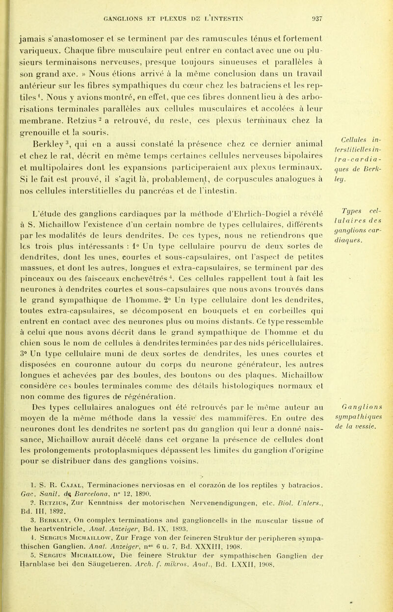 jamais s'anastomoser et se terminent par des ramuscules ténus et fortement variqueux. Chaque fibre musculaire peut entrer en contact avec une ou plu- sieurs terminaisons nerveuses, presque toujours sinueuses et parallèles à son grand axe. » Nous étions arrivé à la même conclusion dans un travail antérieur sur les fibres sympathiques du cœur chez les batraciens et les rep- tiles '. Nous y avions mont ré, en effet, que ces fibres donnent lieu à des arbo- risations terminales parallèles aux cellules musculaires et accolées à leur membrane. Refzius2 a retrouvé, du reste, ces plexus terminaux chez la grenouille et la souris. Berkley3, qui en a aussi constaté la présence chez ce dernier animal et chez le rat, décrit en même temps certaines cellules nerveuses bipolaires et multipolaires dont les expansions participeraient aux plexus terminaux. Si le fait est prouvé, il s'agit là, probablement, de corpuscules analogues à nos cellules interstitielles du pancréas et de l'intestin. Cellules in- terstitielles in- tra-cardia- ques de Berk- ley. L'étude des ganglions cardiaques par la méthode d'Ehrlich-Dogiel a révélé à S. Michaillow l'existence d'un certain nombre de types cellulaires, différents par les modalités de leurs dendrites. De ces types, nous ne retiendrons que les trois plus intéressants : 1° Un type cellulaire pourvu de deux sortes de dendrites, dont les unes, courtes et sous-capsulaires, ont l'aspect de petites massues, et dont les autres, longues et extra-capsulaircs, se terminent par des pinceaux ou des faisceaux enchevêtrés i. Ces cellules rappellent tout à fait les neurones à dendrites courtes et sous-capsulaires que nous avons trouvés dans le grand sympathique de l'homme. 2° Un type cellulaire dont les dendrites, toutes extra-capsulaires, se décomposent en bouquets et en corbeilles qui entrent en contact avec des neurones plus ou moins distants. Ce type ressemble à celui que nous avons décrit dans le grand sympathique de l'homme et du chien sous le nom de cellules à dendrites terminées par des nids péricellulaires. 3° Un type cellulaire muni de deux sortes de dendrites, les unes courtes et disposées en couronne autour du corps du neurone générateur, les autres longues et achevées par des boules, des boutons ou des plaques. Michaillow considère ces boules terminales comme des détails histologiques normaux et non comme des figures de régénération. Des types cellulaires analogues ont été retrouvés par le même auteur au moyen de la même méthode dans la vessie des mammifères. En outre des neurones dont les dendrites ne sortent pas du ganglion qui leur a donné nais- sance, Michaillow aurait décelé dans cet organe la présence de cellules dont les prolongements protoplasmiques dépassent les limites du ganglion d'origine pour se distribuer dans des ganglions voisins. Types cel- lulaires des ganglions car- diaques. Ganglions sympathiques de la vessie. 1. S. R. Cajal, Terminaciones nerviosas en el corazôn de los reptiles y batracios. Gac. Sanit. d$ Barcelona, n° 12, 1890. 9. Retzius, Zur Kennlniss der motorischen Nervenendigungen, etc. Biol. Unlers., Bd. III, 1892. 3. Berkley, On complex terminations and ganglioncells in the muscular tissue of the heartventricle. Anal. Anzeiger, Bd. IX, 1893. +. Sergius Michaillow, Zur Frage von der feineren Struktur der peripheren sympa- thischen Ganglien. Anat. Anzeiger, nos 6 u. 7, Bd. XXXIII, 1908. 5. Sergius Michaillow, Die feinere Struktur der sympathisehen Ganglien der Harnblase bei den Sàugetieren. Arçh. f. mikros. Anat., Bd. LXXII, 1908,