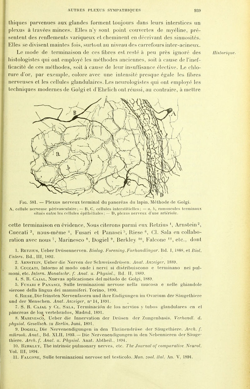thiques parvenues aux glandes forment toujours dans leurs interstices un plexus à travées minces. Elles n'y sont point couvertes de myéline, pré- sentent des renflements variqueux et cheminent en décrivant des sinuosités. Elles se divisent maintes fois, surtout au niveau des carrefours inter-acineux. Le mode de terminaison de ces libres est resté à peu près ignoré des Historique. histologistes qui ont employé les méthodes anciennes, soit à cause de l'inef- ficacité de ces méthodes, soit à cause de leur insuffisance élective. Le chlo- rure d'or, par exemple, colore avec une intensité presque égale les fibres nerveuses et les cellules glandulaires. Les neurologisles qui ont employé les techniques modernes de Golgi et d'Ehrlich ont réussi, au contraire, à mettre Fig. 581. — Plexus nerveux terminal du pancréas du lapin. Méthode de Golgi. A, cellule nerveuse périvasculaire; — B, C, cellules interstitielles; — a, b, ramuscules terminaux situés entre les cellules épithéliales ; — D, plexus nerveux d'une artériole. cette terminaison en évidence. Nous citerons parmi eux Retzius Arnstein2, Cuccati 3, nous-même 4, Fusari et Panascis, Riese 6, Cl. Sala en collabo- ration avec nous 7, Marinesco 8, Dogiel 9, Berkley ,0, Falcone , etc.. dont 1. Retzius, Ueber Driisennerven. Biolog. Forening. Forhandlingar. Bd. I, 1888, et Biol. Unlers. Bd., III, 1892. 2. Arnstein, Ueber die Nerven der Schweissdriisen. Anat. Anzeiger, 1889. 3. Cuccati, Intorno al modo onde i nervi si distribuiscono e terminano nei pul- moni, etc. Intern. Monalschr. f: Anal. u. Physiol., Bd. II, 1889. 4. S. R. Cajal, Nuevas aplicaciones del método de Golgi, 1889. 5. Fusari e Panasci, Sulle terminazioni nervose nella mucosa e nelle ghiandole sierose délia lingua dei mammiferi. Torino, 1890. 6. RiESE,Diefeinsten Nervenfasern und ihre Endigungen im Ovarium der Sâugethiere und der Menschen. Anal. Anzeiger, n° 14, 1891. 7. S. R. Cajal y Cl. Sala, Terminaciôn de los nervios y tubos glandulares en el pancréas de los vertebrados, Madrid, 1891. 8. Marinesco, Ueber die Innervation der Driisen der Zungenbasis. Verhandl. d. physiol. Gesellsch. zu Berlin. Juni, 1891. 9. Dogiel, Die Nervenendigungen in den Thrànendruse der Sâugethiere. Areh. f. mikrosk. Anal., Bd. XLII, 1893.—Die Nervenendigungen in den Nebennieren der Sâuge- thiere. Arch.f. Anal. u. Physiol. Anat. Abtheil., 1894. 10. Berkley, The intrinsic pulmonary nerves, etc. The Journal of comparative Neurol. Vol. III, 1894. 11. Falcone, Sulle terminazioni nervose nel testicolo. Mon. zool. ital. An. V, 1894.