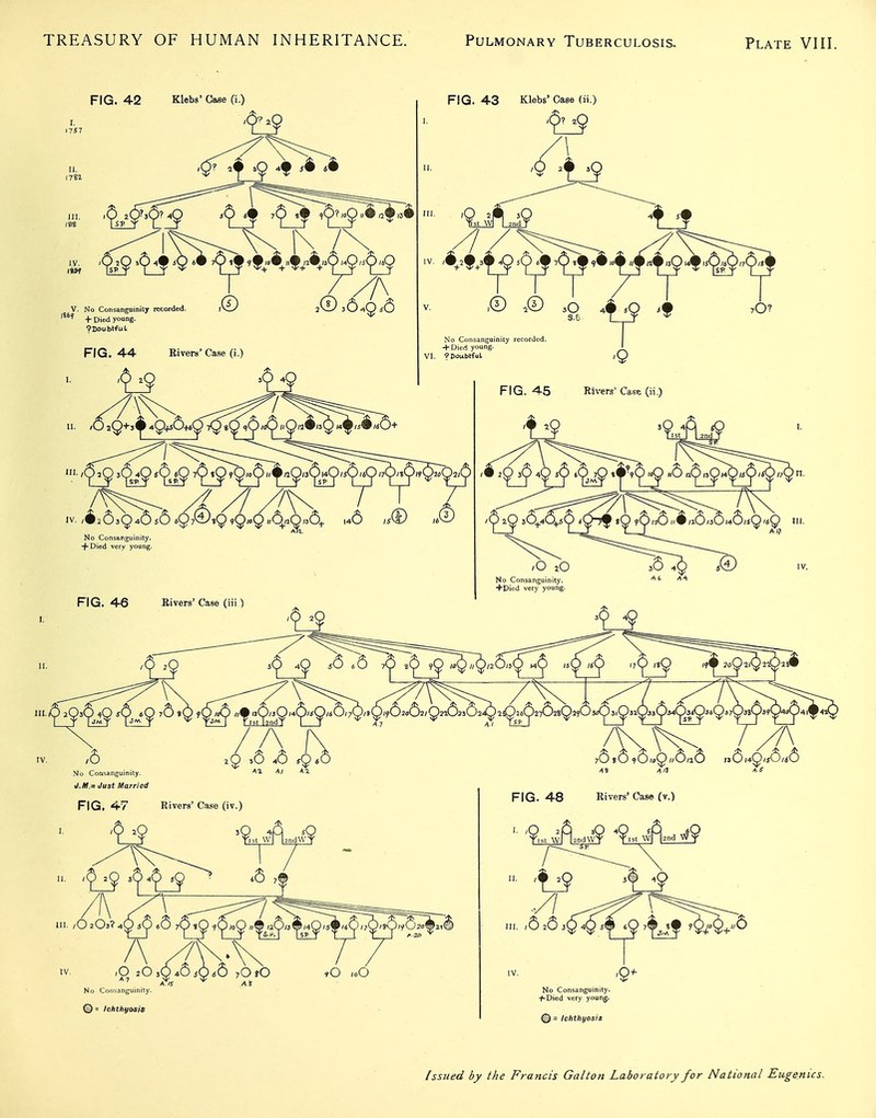 FIG. 42 Klebs' Case (i.) 4 •* V. No Consanguinity recorded. + Died young. T'Doubtfut FIG. 44 Rivers' Case (i.) FIG. 43 Klebs' Case (ii.) No Consanguinity recorded. + Diert young. VI. ?Doubtful AJX. No Consanguinity. ■+ Died very young. FIG. 4-6 Rivers' Case (iii) FIG. 45 Rivers* Case (ii.) ■f5 /O 2O No Consanguinity. +Died very young. 11. III. -^^2^3^4^ ^<^j^ 76 »^ ''?t'^.nd9'^'T''''9''^'^^''9' '^'''^ ^'^ IV. ,6 No Consanguinity. i/.Af,= Just Married zQ ,6 46 ^946 FIG I 47 Rivers' Case (iv.) 9ist W A^ndW? IV. ,0 2 0 3Q46jQ^6 70?0 No Consanguinity. © = Ichthyosis FIG. 48 Rivers' Case (v.) '9rst Vvftnd\v9 ^^st W^nd W*9 II. /6 26 jQ 4Q i^^j 'fjvi^ ^y/v+^ IV. '9^ No Consanguinity. + Died very young. © = Ichthyosis