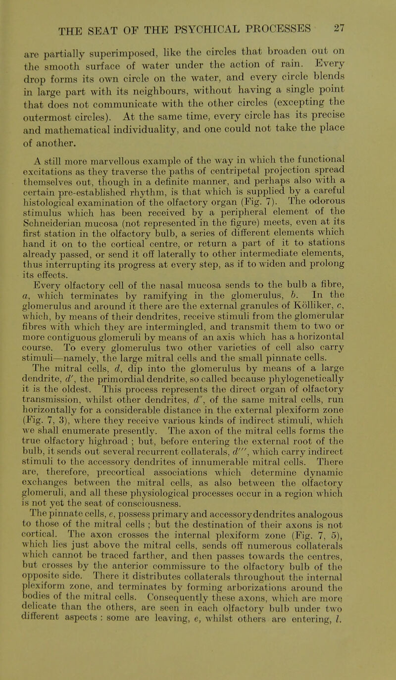 are partially superimposed, like the circles that broaden out on the smooth surface of water under the action of rain. Every drop forms its own circle on the water, and every circle blends in large part with its neighbours, without having a single point that does not communicate with the other circles (excepting the outermost circles). At the same time, every circle has its precise and mathematical individuality, and one could not take the place of another. A still more marvellous example of the way in which the functional excitations as they traverse the paths of centripetal projection spread themselves out, though in a definite manner, and perhaps also with a certain pre-established rhythm, is that which is supplied by a careful histological examination of the olfactory organ (Fig. 7). The odorous stimulus which has been received by a peripheral element of the Schneiderian mucosa (not represented in the figure) meets, even at its first station in the olfactory bulb, a series of different elements which hand it on to the cortical centre, or return a part of it to stations already passed, or send it off laterally to other intermediate elements, thus interrupting its progress at every step, as if to sviden and prolong its effects. Every olfactory cell of the nasal mucosa sends to the bulb a fibre, a, which terminates by ramifying in the glomerulus, h. In the glomerulus and around it there are the external granules of Kolliker, c, which, by means of their dendrites, receive stimuli from the glomerular fibres with which they are intermingled, and transmit them to two or more contiguous glomeruli by means of an axis which has a horizontal course. To every glomerulus two other varieties of cell also carry stimuH—namely, the large mitral cells and the small pinnate cells. The mitral cells, d, dip into the glomerulus by means of a large dendrite, d', the primordial dendrite, so called because phylogenetically it is the oldest. This process represents the direct organ of olfactory transmission, whilst other dendrites, d, of the same mitral cells, run horizontally for a considerable distance in the external plexiform zone (Fig. 7, 3), where they receive various kinds of indirect stimuli, which we shall enumerate presently. The axon of the mitral cells forms the true olfactory highroad ; but, before entering the external root of the bulb, it sends out several recmrent collaterals, d', which carry indirect stimuli to the accessory dendrites of innumerable mitral cells. There are, therefore, precortical associations which determine dynamic exchanges between the mitral cells, as also between the olfactory glomeruli, and all these physiological processes occur in a region which is not yet the seat of consciousness. The pinnate cells, e, possess primary and accessorydendrites analogous to those of the mitral cells ; but the destination of their axons is not cortical. The axon crosses the internal plexiform zone (Fig. 7, 5), which lies just above the mitral cells, sends off numerous collaterals which cannot be traced farther, and then passes toA\ards the centres, but crosses by the anterior commissure to the olfactory bulb of tlie opposite side. There it distributes collaterals throughout the internal plexiform zone, and terminates by forming arborizations around tlie bodies of the mitral cells. Consequently these axons, wliich are more delicate than the others, are seen in each olfactory bulb mider two different aspects : some are leaving, e, whilst others are entering, L