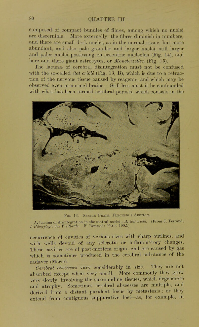 composed of compact bundles of fibres, among which no nuclei are discernible. More externally, the fibres diminish in numbers, and there are small dark nuclei, as in the normal tissue, but more abundant, and also pale granular and larger nuclei, still larger and paler nuclei possessing an eccentric nucleolus (Fig. 14), and here and there giant astrocytes, or Monsterzellen (Fig. 15). The lacunae of cerebral disintegration must not be confused with the so-called etat crihle (Fig. 13, B), which is due to a retrac- tion of the nervous tissue caused by reagents, and which may be observed even in normal brains. Still less must it be confounded with what has been termed cerebral porosis, which consists in the Fig. 13.—Senile Brain, Flechsig's Section. A, Lacuna of disintegration in the central nuclei ; B, itat crible. (From J. Ferrand, L'Heiniplegie des Vieillards. F. Rousset: Paris, 1902.) occurrence of cavities of various sizes with sharp outhnes, and with walls devoid of any sclerotic or inflammatory changes. These cavities are of post-mortem origin, and are caused by gas which is sometimes produced in the cerebral substance of the cadaver (Marie). Cerebral abscesses vary considerably in size. They are not absorbed except when very small. More commonly they grow very slowly, involving the surrounding tissues, which degenerate and atrophy. Sometimes cerebral abscesses are multiple, and derived from a distant purulent focus by metastasis ; or they extend from contiguous suppurative foci—as, for example, in