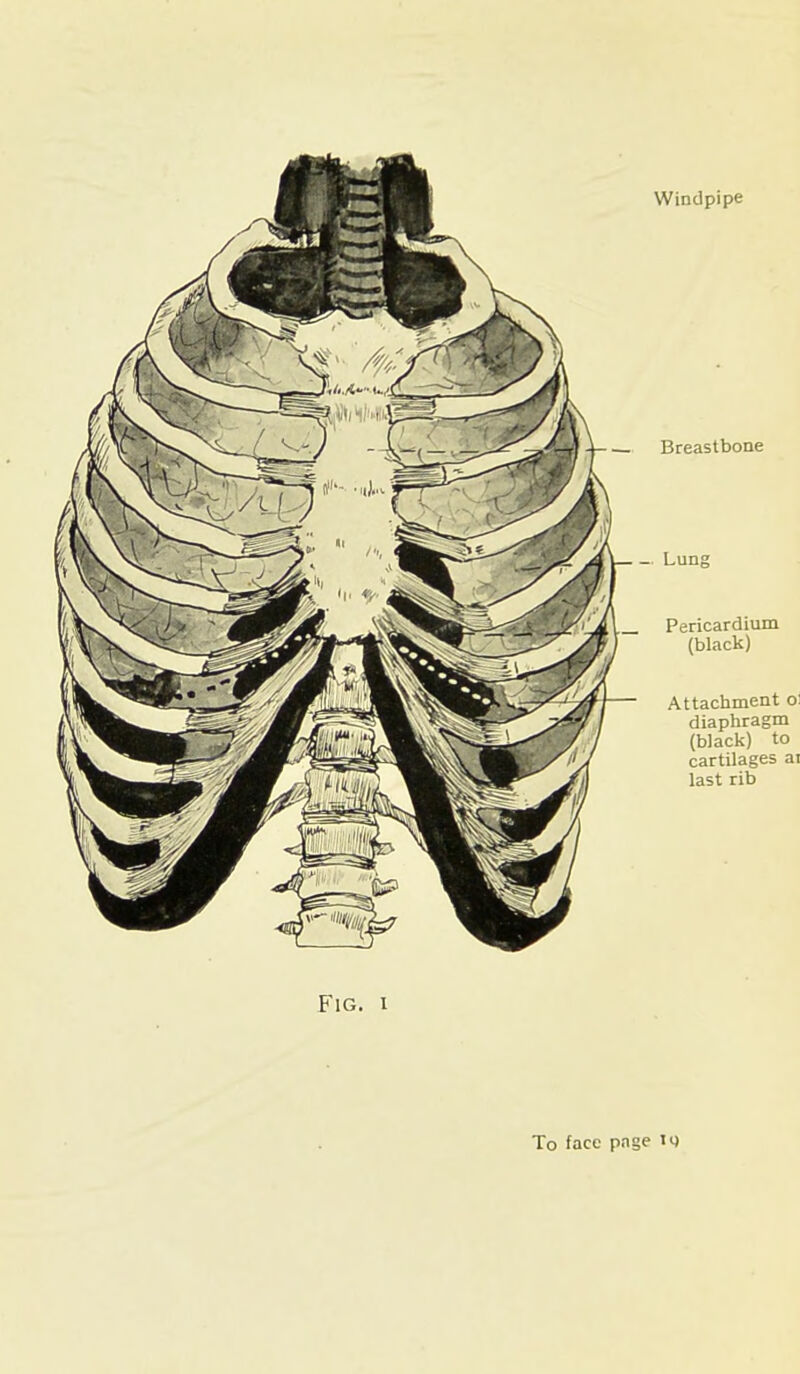 t ol ;m to Fig. 1