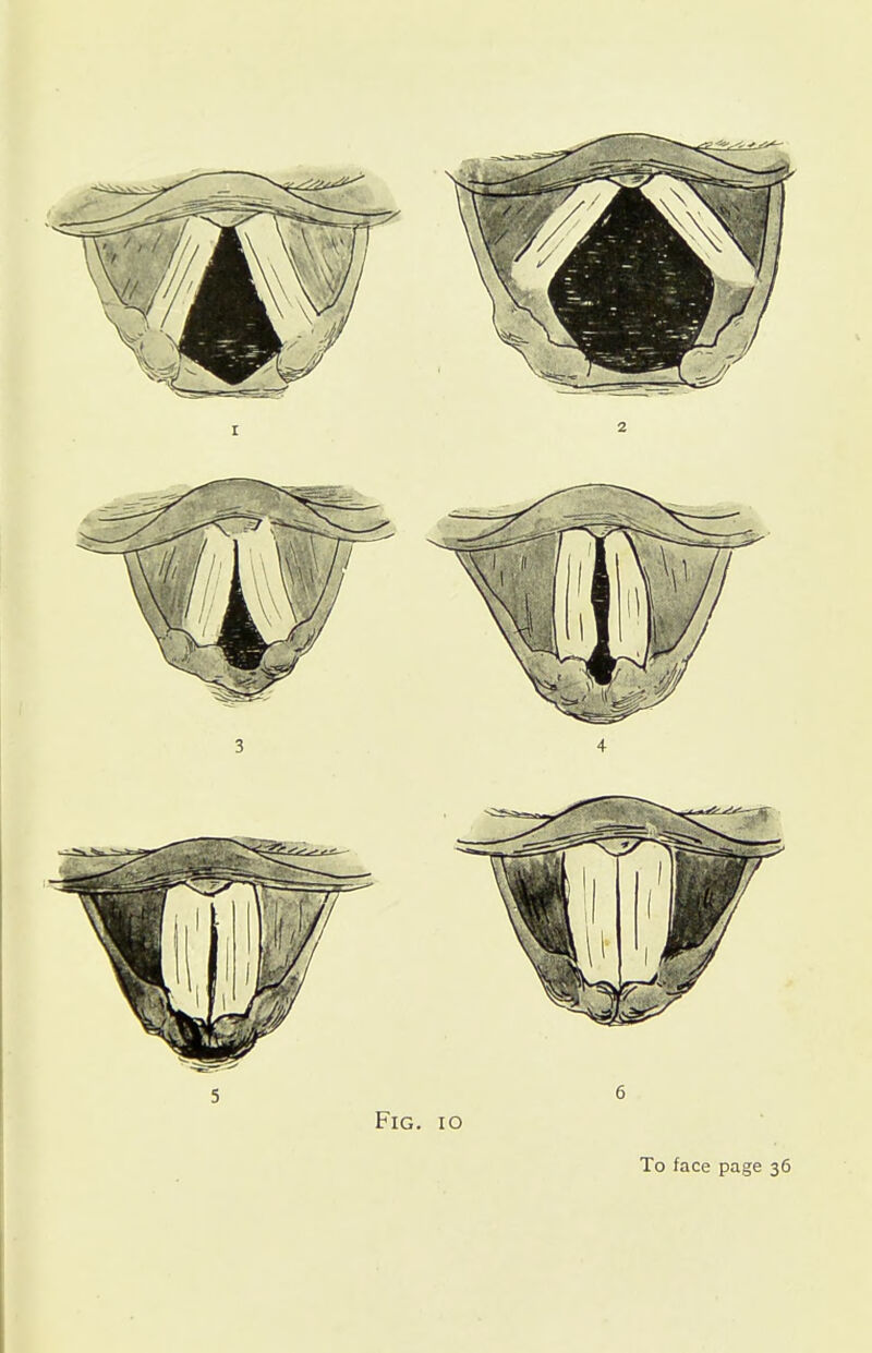 3 4 Fig. io To face page 36
