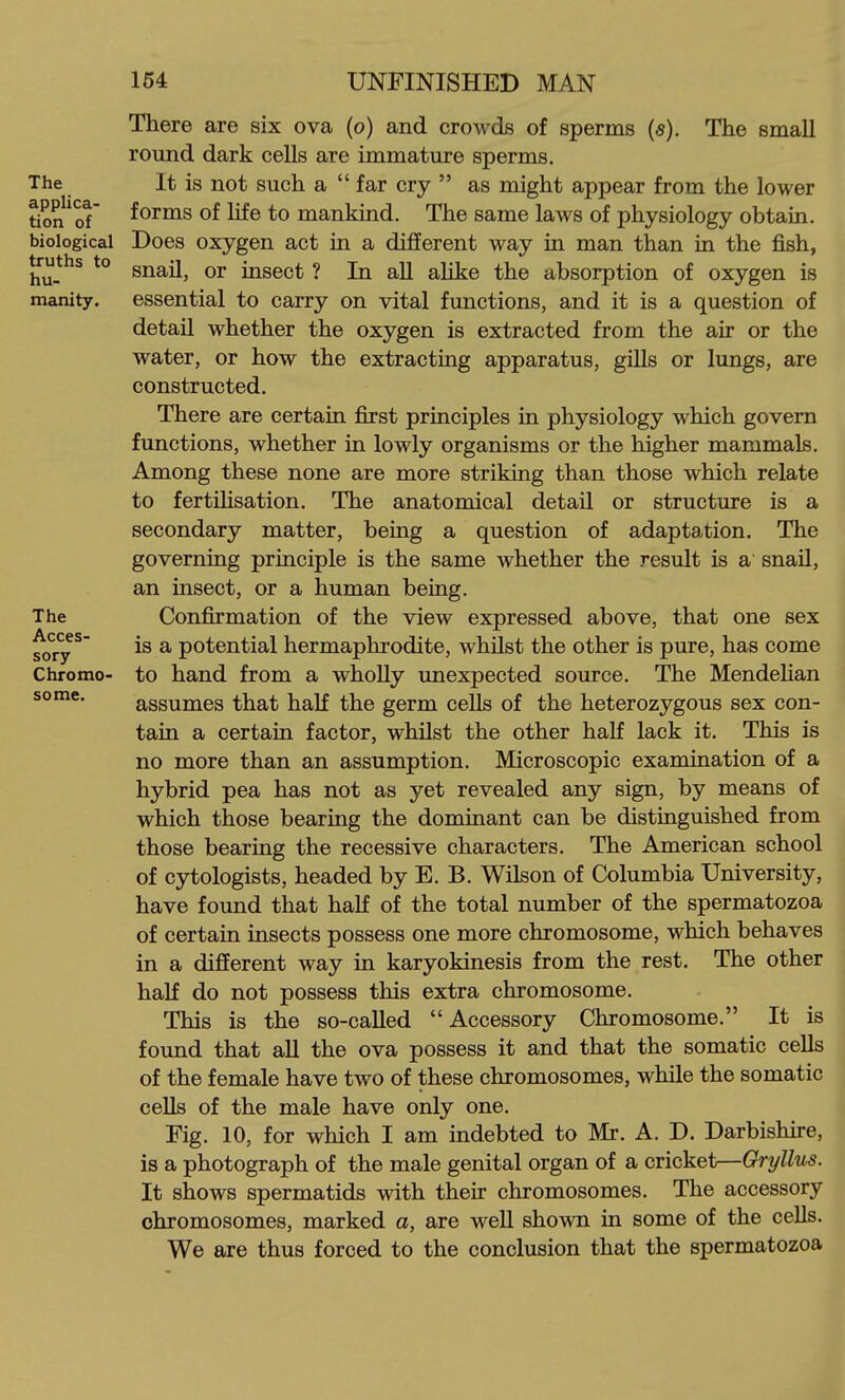The applica- tion of biological truths to hu- manity. The Acces- sory Chromo- some. There are six ova (o) and crowds of sperms (s). The small round dark cells are immature sperms. It is not such a far cry  as might appear from the lower forms of life to mankind. The same laws of physiology obtain. Does oxygen act in a different way in man than in the fish, snaU, or insect ? In aU alike the absorption of oxygen is essential to carry on vital functions, and it is a question of detail whether the oxygen is extracted from the air or the water, or how the extracting apparatus, gills or lungs, are constructed. There are certain first principles in physiology which govern functions, whether in lowly organisms or the higher mammals. Among these none are more striking than those which relate to fertilisation. The anatomical detail or structure is a secondary matter, being a question of adaptation. The governing principle is the same whether the result is a snail, an insect, or a human being. Confirmation of the view expressed above, that one sex is a potential hermaphrodite, whilst the other is pure, has come to hand from a wholly unexpected source. The MendeUan assumes that haK the germ cells of the heterozygous sex con- tain a certain factor, whilst the other half lack it. This is no more than an assumption. Microscopic examination of a hybrid pea has not as yet revealed any sign, by means of which those bearing the dominant can be distinguished from those bearing the recessive characters. The American school of cytologists, headed by E. B. Wilson of Columbia University, have found that half of the total number of the spermatozoa of certain insects possess one more chromosome, which behaves in a different way in karyokinesis from the rest. The other half do not possess this extra chromosome. This is the so-called Accessory Chromosome. It is found that all the ova possess it and that the somatic ceUs of the female have two of these chromosomes, while the somatic cells of the male have only one. Fig. 10, for which I am indebted to Mr. A. D. Darbishire, is a photograph of the male genital organ of a cricket—Gryllus. It shows spermatids with their chromosomes. The accessory chromosomes, marked a, are weU shown in some of the cells. We are thus forced to the conclusion that the spermatozoa