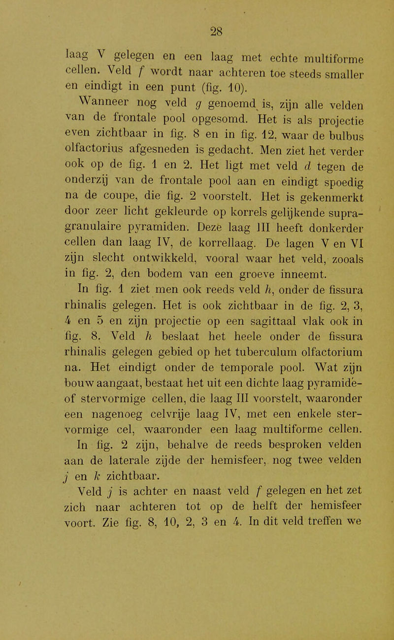 laag V gelegen en een laag met echte multiforme cellen. Veld f wordt naar achteren toe steeds smaller en eindigt in een punt (fig. 10). Wanneer nog veld g genoemd is, zijn alle velden van de frontale pool opgesomd. Het is als projectie even zichtbaar in fig. 8 en in fig. 12, waar de bulbus olfactorius afgesneden is gedacht. Men ziet het verder ook op de fig. 1 en 2. Het ligt met veld d tegen de onderzij van de frontale pool aan en eindigt spoedig na de coupe, die fig. 2 voorstelt. Het is gekenmerkt door zeer licht gekleurde op korrels gelijkende supra- granulaire pyramiden. Deze laag III heeft donkerder cellen dan laag IV, de korrellaag. De lagen V en VI zijn slecht ontwikkeld, vooral waar het veld, zooals in fig. 2, den bodem van een groeve inneemt. In fig. 1 ziet men ook reeds veld /i, onder de fissura rhinalis gelegen. Het is ook zichtbaar in de fig. 2, 3, 4 en 5 en zijn projectie op een sagittaal vlak ook in fig. 8. Veld h beslaat het heele onder de fissura rhinalis gelegen gebied op het tuberculum olfactorium na. Het eindigt onder de temporale pool. Wat zijn bouw aangaat, bestaat het uit een dichte laag pyramidé- of stervormige cellen, die laag III voorstelt, waaronder een nagenoeg celvrije laag IV, met een enkele ster- vormige cel, waaronder een laag multiforme cellen. In fig. 2 zijn, behalve de reeds besproken velden aan de laterale zijde der hemisfeer, nog twee velden j en k zichtbaar. Veld j is achter en naast veld f gelegen en het zet zich naar achteren tot op de helft der hemisfeer voort. Zie fig. 8, 10, 2, 3 en 4. In dit veld trefl'en we