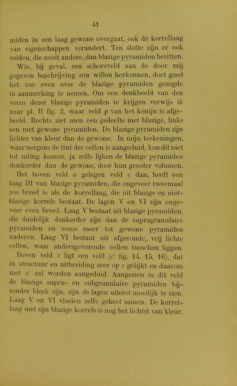 miden in een laag gewone overgaat, ook de korrellaag van eigenschappen verandert. Ten slotte zijn er ook velden, die nooit andere, dan blazige pyramiden bezitten. Wie, bij geval, een schorsveld aan de door mij gegeven beschrijving zou willen herkennen, doet goed het zoo even over de blazige pyramiden gezegde in aanmerking te nemen. Om een denkbeeld van den vorm dezer blazige pyramiden te krijgen verwijs ik naar pi. II fig. 2, waar veld p van het konijn is afge- beeld. Rechts ziet men een gedeelte met blazige, links een met gewone pyramiden. De blazige pyramiden zijn lichter van kleur dan de gewone. In mijn teekeningen, waar nergens de tint der cellen is aangeduid, kon dit niet tot uiting komen, ja zelfs lijken de blazige pyramiden donkerder dan de gewone, door hun grooter volumen. Het boven veld a gelegen veld c dan, heeft een laag III van blazige pyramiden, die ongeveer tweemaal zoo breed is als de korrellaag, die uit blazige en niet- blazige korrels bestaat. De lagen V en VI zijn onge- veer even breed. Laag V bestaat uit blazige pyramiden, die duidelijk donkerder zijn dan de supragranulaire pyramiden en soms meer tot gewone pyramiden naderen. Laag VI bestaat uit afgeronde, vrij lichte cellen, waar andersgevormde cellen tusschen liggen. Boven veld c ligt een veld (c' fig. 14. 15, 16), dat in structuur en uitbreiding zeer op c gelijkt en daarom met c' zal worden aangeduid. Aangezien in dit veld de blazige supra- en subgranulaire pyramiden bij- zonder bleek zijn, zijn de lagen uiterst moeilijk te zien. Laag V en VI vloeien zelfs geheel samen. De korrel- laag met zijn blazige korrels is nog het lichtst van kleur.