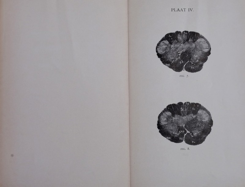 FIG. 8. 1 i