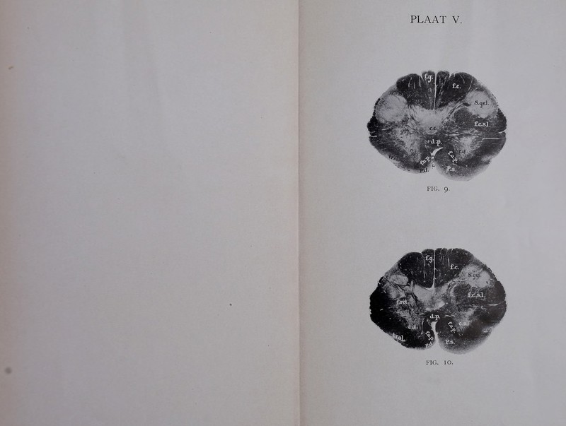 FIG. 9.
