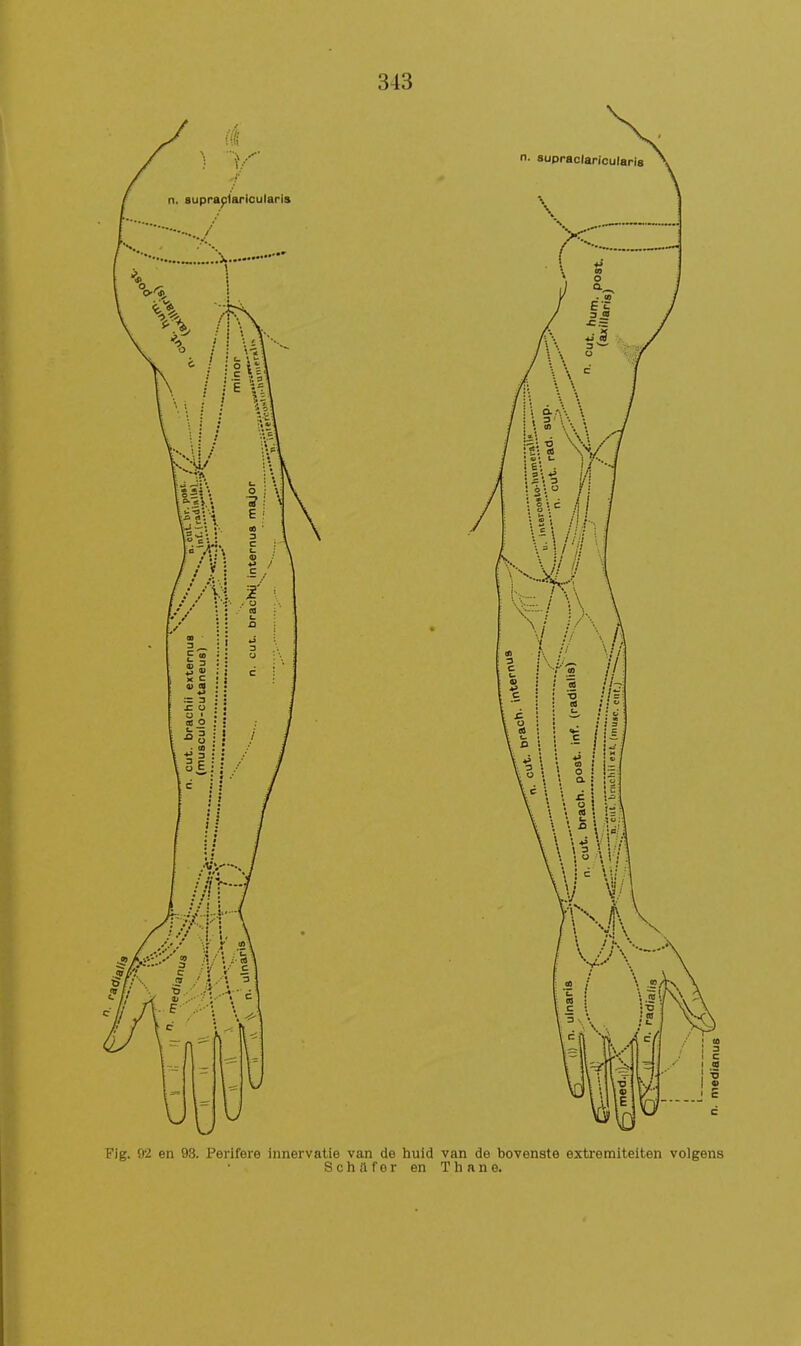 Fig. 92 en 98. Perifere innervatie van de huid van de bovenste extremiteiten volgens