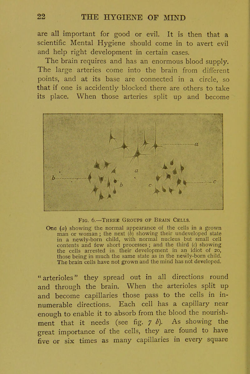 are all important for good or evil. It is then that a scientific Mental Hygiene should come in to avert evil and help right development in certain cases. The brain requires and has an enormous blood supply. The large arteries come into the brain from different points, and at its base are connected in a circle, so that if one is accidently blocked there are others to take its place. When those arteries split up and become Fig. 6.—Three Groups of Brain Cells. One (a) showing the normal appearance of the cells in a grown man or woman ; the next (b) showing their undeveloped state in a newly-born child, with normal nucleus but small cell contents and few short processes ; and the third (c) showing the cells arrested in their development in an idiot of 20, those being in much the same state as in the newly-born child. The brain cells have not grown and the mind has not developed. arterioles they spread out in all directions round and through the brain. When the arterioles split up and become capillaries those pass to the cells in in- numerable directions. Each cell has a capillary near enough to enable it to absorb from the blood the nourish- ment that it needs (see fig. 7 d). As showing the great importance of the cells, they are found to have five or six times as many capillaries in every square