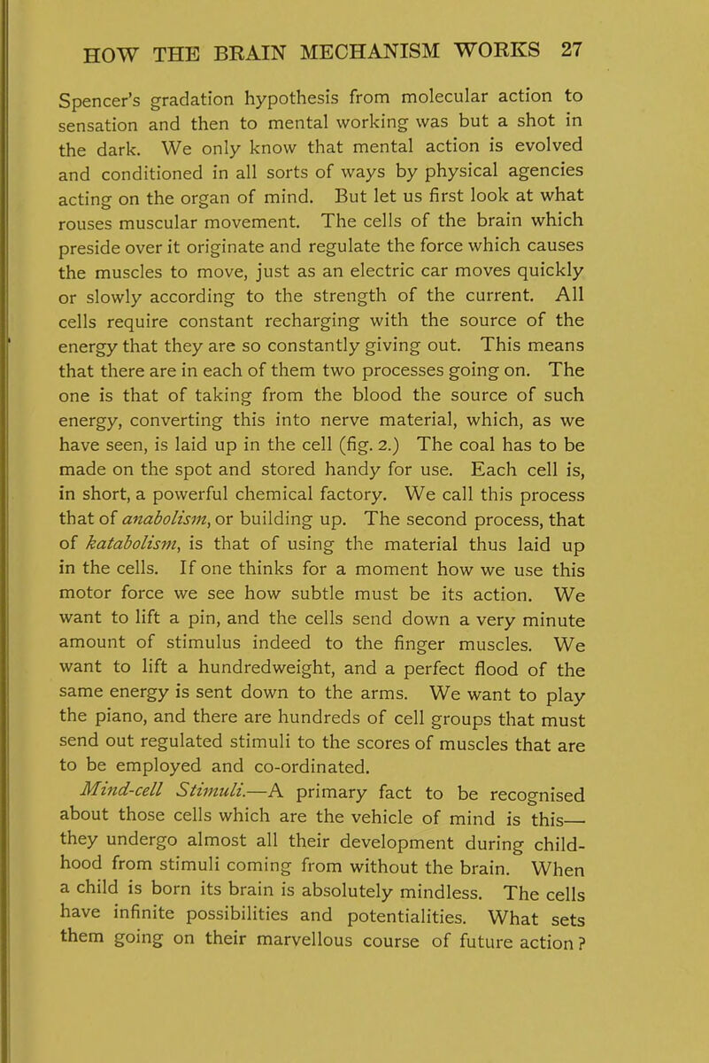 Spencer's gradation hypothesis from molecular action to sensation and then to mental working was but a shot in the dark. We only know that mental action is evolved and conditioned in all sorts of ways by physical agencies acting on the organ of mind. But let us first look at what rouses muscular movement. The cells of the brain which preside over it originate and regulate the force which causes the muscles to move, just as an electric car moves quickly or slowly according to the strength of the current. All cells require constant recharging with the source of the energy that they are so constantly giving out. This means that there are in each of them two processes going on. The one is that of taking from the blood the source of such energy, converting this into nerve material, which, as we have seen, is laid up in the cell (fig. 2.) The coal has to be made on the spot and stored handy for use. Each cell is, in short, a powerful chemical factory. We call this process that of anabolism, or building up. The second process, that of katabolism, is that of using the material thus laid up in the cells. If one thinks for a moment how we use this motor force we see how subtle must be its action. We want to lift a pin, and the cells send down a very minute amount of stimulus indeed to the finger muscles. We want to lift a hundredweight, and a perfect fliood of the same energy is sent down to the arms. We want to play the piano, and there are hundreds of cell groups that must send out regulated stimuli to the scores of muscles that are to be employed and co-ordinated. Mind-cell Stimuli.—A primary fact to be recognised about those cells which are the vehicle of mind is this they undergo almost all their development during child- hood from stimuli coming from without the brain. When a child is born its brain is absolutely mindless. The cells have infinite possibilities and potentialities. What sets them going on their marvellous course of future action ?