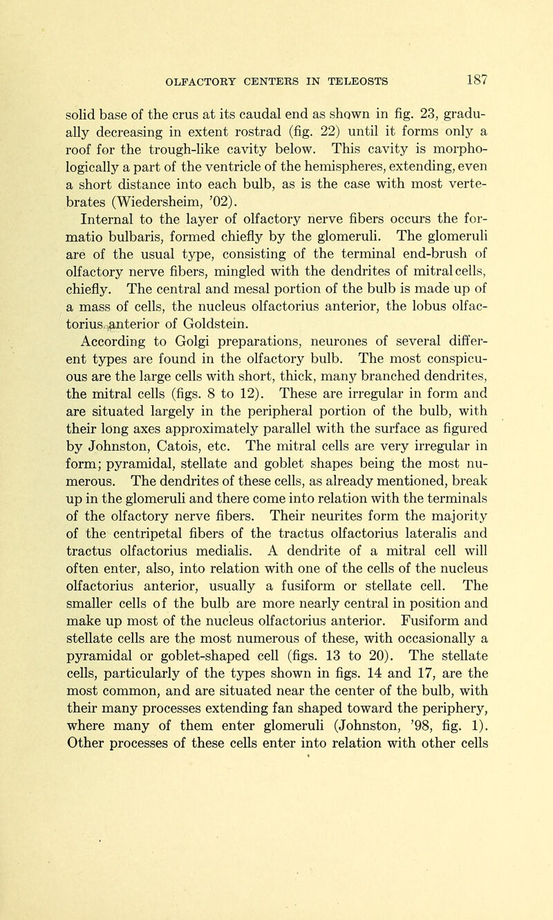 solid base of the cms at its caudal end as shown in fig. 23, gradu- ally decreasing in extent rostrad (fig. 22) until it forms only a roof for the trough-like cavity below. This cavity is morpho- logically a part of the ventricle of the hemispheres, extending, even a short distance into each bulb, as is the case with most verte- brates (Wiedersheim, '02). Internal to the layer of olfactory nerve fibers occurs the for- matio bulbaris, formed chiefly by the glomeruli. The glomeruli are of the usual type, consisting of the terminal end-brush of olfactory nerve fibers, mingled with the dendrites of mitral cells, chiefly. The central and mesal portion of the bulb is made up of a mass of cells, the nucleus olfactorius anterior, the lobus olfac- torius.,anterior of Goldstein. According to Golgi preparations, neurones of several differ- ent types are found in the olfactory bulb. The most conspicu- ous are the large cells with short, thick, many branched dendrites, the mitral cells (figs. 8 to 12). These are irregular in form and are situated largely in the peripheral portion of the bulb, with their long axes approximately parallel with the surface as figured by Johnston, Catois, etc. The mitral cells are very irregular in form; pyramidal, stellate and goblet shapes being the most nu- merous. The dendrites of these cells, as already mentioned, break up in the glomeruli and there come into relation with the terminals of the olfactory nerve fibers. Their neurites form the majority of the centripetal fibers of the tractus olfactorius lateralis and tractus olfactorius medialis. A dendrite of a mitral cell will often enter, also, into relation with one of the cells of the nucleus olfactorius anterior, usually a fusiform or stellate cell. The smaller cells o f the bulb are more nearly central in position and make up most of the nucleus olfactorius anterior. Fusiform and stellate cells are the most numerous of these, with occasionally a pyramidal or goblet-shaped cell (figs. 13 to 20). The stellate cells, particularly of the types shown in figs. 14 and 17, are the most common, and are situated near the center of the bulb, with their many processes extending fan shaped toward the periphery, where many of them enter glomeruli (Johnston, '98, fig. 1). Other processes of these cells enter into relation with other cells