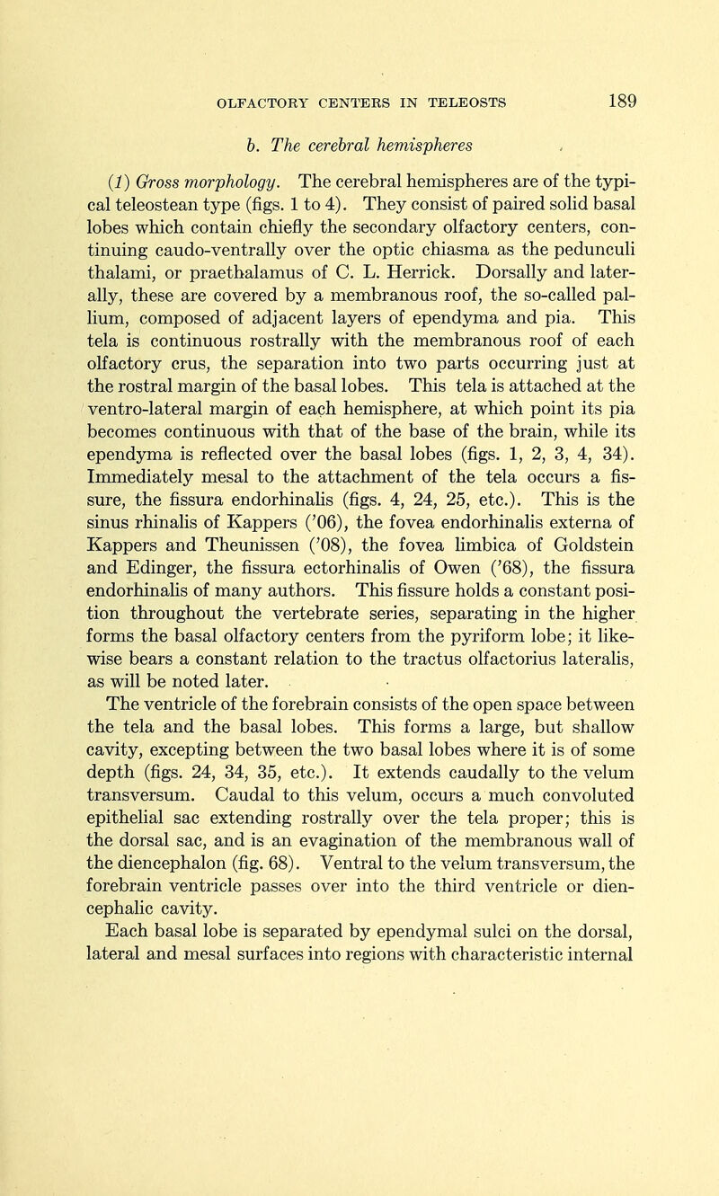 b. The cerebral hemispheres (1) Gross morphology. The cerebral hemispheres are of the typi- cal teleostean type (figs. 1 to 4). They consist of paired solid basal lobes which contain chiefly the secondary olfactory centers, con- tinuing caudo-ventrally over the optic chiasma as the pedunculi thalami, or praethalamus of C. L. Herrick. Dorsally and later- ally, these are covered by a membranous roof, the so-called pal- lium, composed of adjacent layers of ependyma and pia. This tela is continuous rostrally with the membranous roof of each olfactory crus, the separation into two parts occurring just at the rostral margin of the basal lobes. This tela is attached at the ventro-lateral margin of each hemisphere, at which point its pia becomes continuous with that of the base of the brain, while its ependyma is reflected over the basal lobes (figs. 1, 2, 3, 4, 34). Immediately mesal to the attachment of the tela occurs a fis- sure, the fissura endorhinaUs (figs. 4, 24, 25, etc.). This is the sinus rhinalis of Kappers ('06), the fovea endorhinalis externa of Kappers and Theunissen ('08), the fovea limbica of Goldstein and Edinger, the fissura ectorhinalis of Owen ('68), the fissura endorhinalis of many authors. This fissure holds a constant posi- tion throughout the vertebrate series, separating in the higher forms the basal olfactory centers from the pyriform lobe; it like- wise bears a constant relation to the tractus olfactorius lateralis, as will be noted later. The ventricle of the f orebrain consists of the open space between the tela and the basal lobes. This forms a large, but shallow cavity, excepting between the two basal lobes where it is of some depth (figs. 24, 34, 35, etc.). It extends caudally to the velum transversum. Caudal to this velum, occurs a much convoluted epithelial sac extending rostrally over the tela proper; this is the dorsal sac, and is an evagination of the membranous wall of the diencephalon (fig. 68). Ventral to the velum transversum, the forebrain ventricle passes over into the third ventricle or dien- cephalic cavity. Each basal lobe is separated by ependymal sulci on the dorsal, lateral and mesal surfaces into regions with characteristic internal