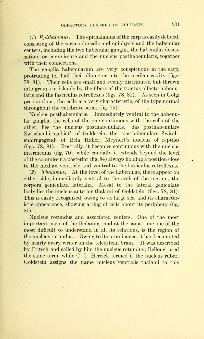 (1) Epithalamus. The epithalamus of the carp is easily defined, consisting of the saccus dorsahs and epiphysis and the habenular centers, including the two habenular gangha, the habenular decus- sation, or commissure and the nucleus posthabenularis, together with their connections. The ganglia habenularum are very conspicuous in the carp, protruding for half their diameter into the median cavity (figs, 78, 81). Their cells are small and evenly distributed but thrown into groups or islands by the fibers of the tractus olfacto-habenu- laris and the fasciculus retroflexus (figs. 78, 81). As seen in Golgi preparations, the cells are very characteristic, of the type normal throughout the vetebrate series (fig. 75). Nucleus posthabenularis. . Immediately ventral to the habenu- lar ganglia, the cells of the one continuous with the cells of the other, lies the nucleus posthabenularis, 'das posthabenulare Zwischenhirngebiet' of Goldstein, the 'posthabenulare Zwisch- enhirngegend' of Bela Haller, Meynert's nucleus of reptiles (figs. 78, 81). Rostrally, it becomes continuous with the nucleus intermedins (fig. 70), while caudally it extends beyond the level of the commissura posterior (fig. 84) always holding a position close to the median ventricle and ventral to the fasciculus retroflexus. (2) Thalamus. At the level of the habenulae, there appear on either side, immediately ventral to the arch of the tectum, the corpora geniculata lateralia. Mesal to the lateral geniculate body lies the nucleus anterior thalami of Goldstein (figs. 78, 81). This is easily recognized, owing to its large size and its character- istic appearance, showing a ring of cells about its periphery (fig. 81). Nucleus rotundus and associated centers. One of the most important parts of the thalamus, and at the same time one of the most difficult to understand in all its relations, is the region of the nucleus rotundus. Owing to its prominence, it has been noted by nearly every writer on the teleostean brain. It was described by Fritsch and called by him the nucleus rotundus; Bellonci used the same term, while C. L. Herrick termed it the nucleus ruber. Goldstein assigns the name nucleus ventralis thalami to this