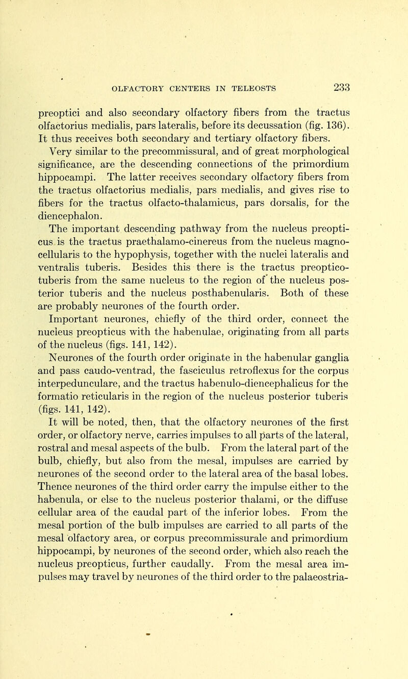 preoptic! and also secondary olfactory fibers from the tractus olfactorius medialis, pars lateralis, before its decussation (fig. 136). It thus receives both secondary and tertiary olfactory fibers. Very similar to the precommissural, and of great morphological significance, are the descending connections of the primordium hippocampi. The latter receives secondary olfactory fibers from the tractus olfactorius medialis, pars medialis, and gives rise to fibers for the tractus olfacto-thalamicus, pars dorsalis, for the diencephalon. The important descending pathway from the nucleus preopti- cus is the tractus praethalamo-cinereus from the nucleus magno- cellularis to the hypophysis, together with the nuclei lateralis and ventrails tuberis. Besides this there is the tractus preoptico- tuberis from the same nucleus to the region of the nucleus pos- terior tuberis and the nucleus posthabenularis. Both of these are probably neurones of the fourth order. Important neurones, chiefly of the third order, connect the nucleus preoptions with the habenulae, originating from all parts of the nucleus (figs. 141, 142). Neurones of the fourth order originate in the habenular ganglia and pass caudo-ventrad, the fasciculus retroflexus for the corpus interpedunculare, and the tractus habenulo-diencephalicus for the formatio reticularis in the region of the nucleus posterior tuberis (figs. 141, 142). It will be noted, then, that the olfactory neurones of the first order, or olfactory nerve, carries impulses to all parts of the lateral, rostral and mesal aspects of the bulb. From the lateral part of the bulb, chiefly, but also from the mesal, impulses are carried by neurones of the second order to the lateral area of the basal lobes. Thence neurones of the third order carry the impulse either to the habenula, or else to the nucleus posterior thalami, or the diffuse cellular area of the caudal part of the inferior lobes. From the mesal portion of the bulb impulses are carried to all parts of the mesal olfactory area, or corpus precommissural and primordium hippocampi, by neurones of the second order, which also reach the nucleus preoptions, further caudally. From the mesal area im- pulses may travel by neurones of the third order to the palaeostria-