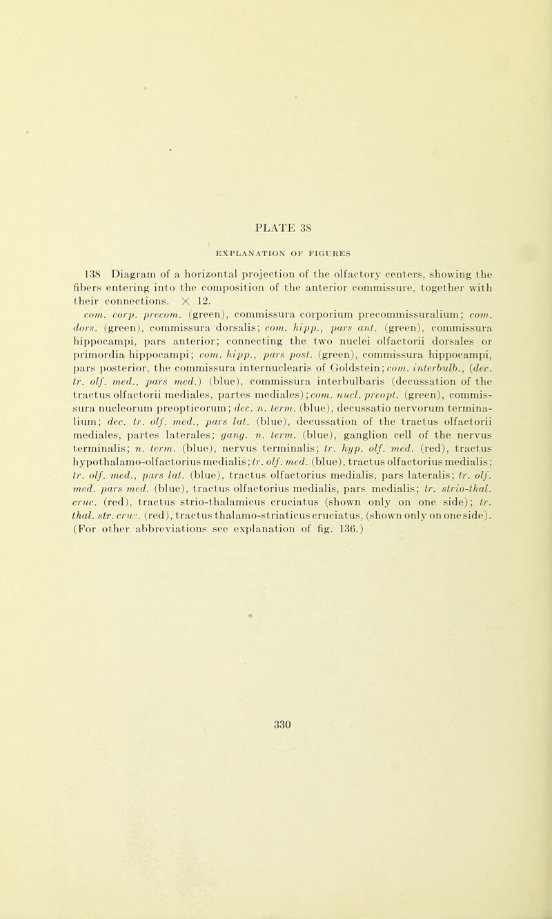 EXPLANATION OF FIGURES 138 Diagram of a horizontal projection of the olfactory centers, showing the fibers entering into the composition of the anterior commissure, together with their connections. X 12. com. corp. precom. (green), commissura corporium precommis.suralium; com. dors, (green), commissura dorsalis; com. hipp., pars ant. (green), commissura hippocampi, pars anterior; connecting the two nuclei olfactorii dorsales or primordia hippocampi; com. hipp., pars post, (green), commissura hippocampi, pars posterior, the commissura internuclearis of Goldstein; co?n. inlerbidb., {dec. tr. olf. nied., pars med.) (blue), commissura interbulbaris (decussation of the tractus olfactorii mediales, partes mediales); cow. nucl. preopt. (green), commis- sura nucleorum preopticorum; dec. n. term, (blue), decussatio nervorum termina- lium; dec. tr. olf. med., pars lat. (blue), decussation of the tractus olfactorii mediales, partes laterales; gang. n. term, (blue), ganglion cell of the nervus terminalis; ?i. term, (blue), nervus terminalis; tr. hyp. olf. med. (red), tractus hypothalamo-olfactorius medialis; tr. olf. med. (blue), tractus olfactoriusmedialis; tr. olf. med., pars lat. (blue), tractus olfactorius medialis, pars lateralis; tr. olf. med. pars med. (blue), tractus olfactorius medialis, pars medialis; tr. strio-thal. cruc. (red), tractus strio-thalamicus cruciatus (shown only on one side); tr. thai. str. cruc. (red), tractus thalamo-striaticus cruciatus, (shown only on one side). (For other abbreviations see explanation of fig. 136.)