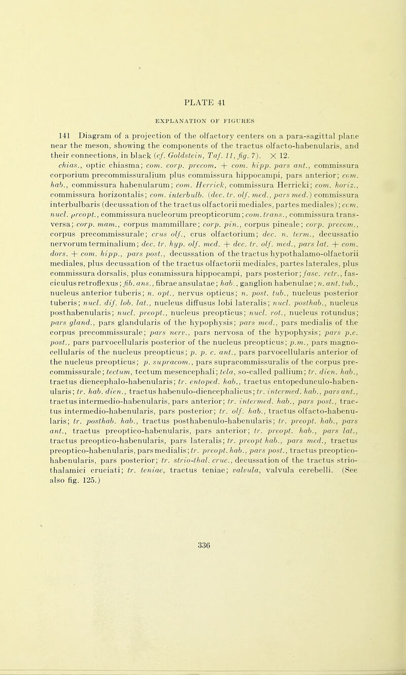 EXPLANATION OF FIGURES 141 Diagram of a projection of the olfactory centers on a para-sagittal plane near the meson, showing the components of the tractus olfacto-habenularis, and their connections, in black (c/. Goldstein, Taf. 11, fig. 7). X 12. chias., optic chiasma; corn. corp. precotn. + com. hipp. pars ant., commissura corporium precommissuralium plus commissura hippocampi, pars anterior; com. hab., commissura habenularum; com. Herrick, commissura Herricki; com. horiz., commissura horizontalis; com. interbulb. (dec. tr. olf. med., parsmed.) commissura interbulbaris (decussation of the tractus olfactoriimediales, partes mediales); ccm. nucl. preopt., commissura nucleorum preopticorum; com. irons., commissura trans- versa; corp. mam., corpus mammillare; corp. pin., corpus pineale; corp. precom., corpus precommissurale; cms olf., crus olfactorium; dec. n. term., decussatio nervorumtcrminalium; dec. tr. hyp. olf. med. + dec. tr. olf. med., pars lat. + com. dors. + com., hipp., pars post., decussation of the tractus hj^pothalamo-olfactorii mediales, plus decussation of the tractus olfactorii mediales, partes laterales, plus commissura dorsalis, plus commissura hippocampi, pars posterior; /asc. retr., (as- ciculusretroflexus; ^6. ans., fibraeansulatae; hab., ganglion habenulae; n.ant. tub., nucleus anterior tuberis; n. opt., nervus opticus; n. post, tub., nucleus posterior tuberis; nucl. dif. lob. lat., nucleus diffusus lobi lateralis; nucl. posthab., nucleus posthabenularis; nucl. preopt., nucleus preopticus; iiucl. rot., nucleus rotundus; pars gland., pars glandularis of the hypophysis; pars med., pars medialis of the corpus precommissurale; pars nerv., pars nervosa of the hypophj'sis; pars p.c. post., pars parvocellularis posterior of the nucleus preopticus; p.m., pars magno- cellularis of the nucleus preopticus; p. p. c. ant., pars parvocellularis anterior of the nucleus preopticus; p. supracom., pars supracommissuralis of the corpus pre- commissurale; tectum, tectum mesencephali; tela, so-called pallium; tr. dien. hab., tractus diencephalo-habenularis; tr. entoped. hab., tractus entopedunculo-haben- ularis; tr. hab. dien., tractus habenulo-diencephalicus; 0\ f?i/er/;icd. hab., parsant., tractusintermedio-habenularis, pars anterior; tr. interjned. hab., pars post., trac- tus intermedio-habenularis, pars posterior; tr. olf. Aaft., tractus olfacto-habenu- laris; tr. posthab. hab., tractus posthabenulo-habenularis; tr. preopt. hab., pars ant., tractus preoptico-habenularis, pars anterior; tr. preopt. hab., pars lat., tractus preoptico-habenularis, pars lateralis; tr. preopt hab., pars med., tractus preoptico-habenularis, pars medialis; ir. preopt. hab., pars post., tractus preoptico- habenularis, pars posterior; tr. strio-thal. criic, decussation of the tractus strio- thalamici cruciati; tr. teniae, tractus teniae; valvula, valvula cerebelli. (See also fig. 125.)