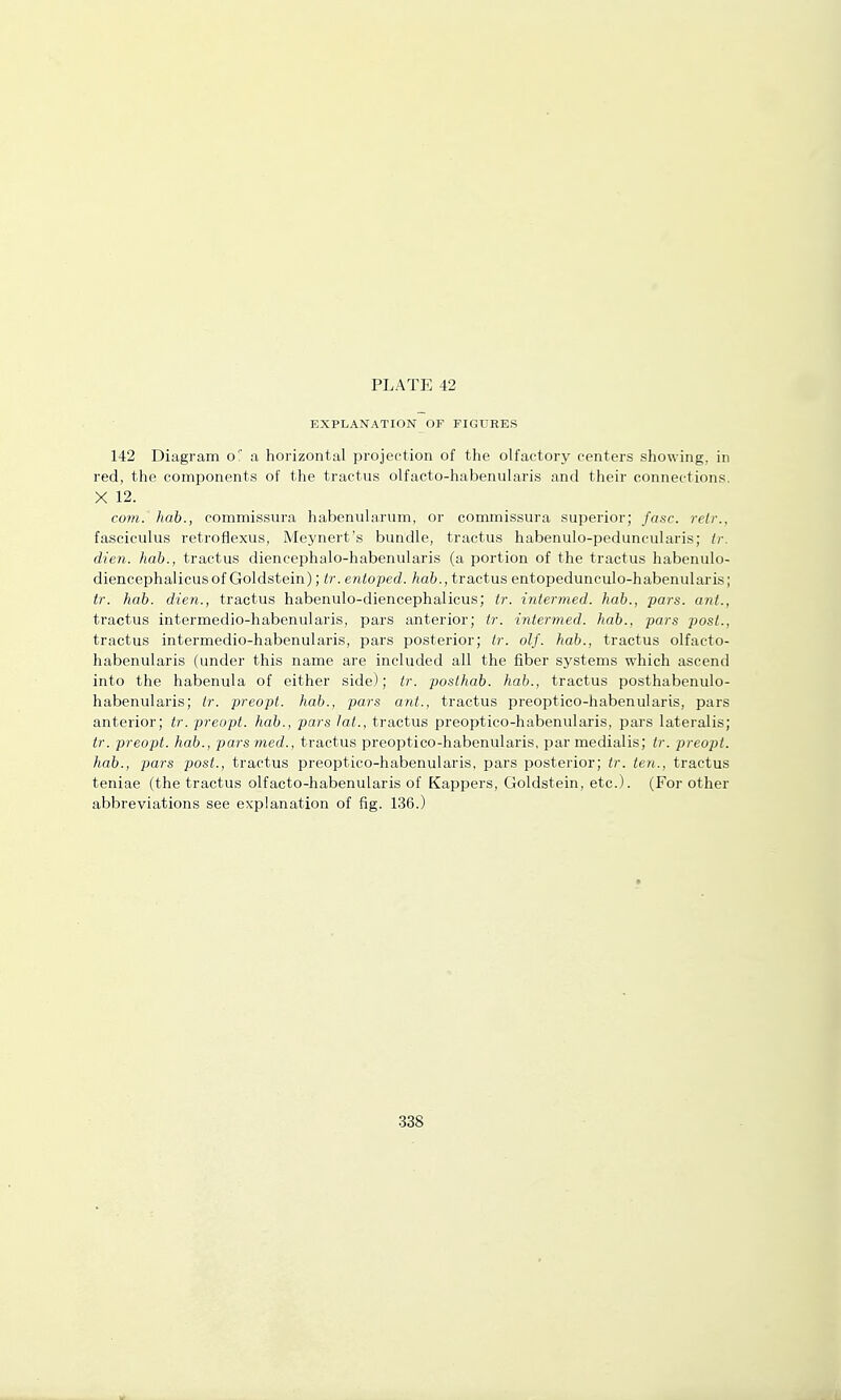 EXPLANATION OF FIGURES 142 Diagram o! a horizontal projection of the olfactory centers showing, in red, the components of the tractus olfacto-habenularis and their connections. X 12. com. hah., commissura habenularum, or commissura superior; fasc. retr., fasciculus retroflexus, Meynert's bundle, tractus habenulo-peduncularis; Ir. dien. hah., tractus diencephalo-habenularis (a portion of the tractus habenulo- diencephalicus of Goldstein); tr. entoped. /ia6., tractus entopedunculo-habenularls; tr. hah. dien., tractus habenulo-diencephalicus; tr. intermed. hah., pars, ant., tractus intermedio-habenularis, pars anterior; tr. intermed. hah., pars post., tractus intermedio-habenularis, pars posterior; tr. olf. hah., tractus olfacto- habenularis (under this name are included all the fiber systems which ascend into the habenula of either side); tr. posthab. hah., tractus posthabenulo- habenularis; tr. preopt. hah., pars ant., tractus preoptico-habenularis, pars anterior; tr. preopt. hah., pars lat., tractus preoptico-habenularis, pars lateralis; tr. preopt. hah., pars med., tractus preoptico-habenularis, par medialis; tr. preopt. hah., pars post., tractus preoptico-habenularis, pars posterior; tr. ten., tractus teniae (the tractus olfacto-habenularis of Kappers, Goldstein, etc.). (For other abbreviations see explanation of fig. 136.)