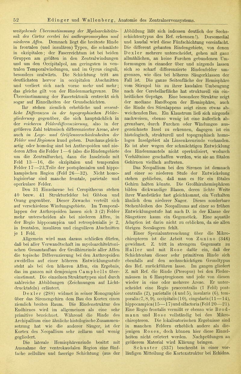 weitgehende Übereinstimmung der Myeloarchitekto- nik des Cortex cerebri bei anihropromorpJien und niederen Affen. Demnach liegt die breiteste Rinde in frontalen (und insularen) Typen, die schmälste in okzipitalen; der Faserreichtum ist bei beiden Gruppen am größten in den Zentralwindungen und um den Occipitalpol, am geringsten in ven- tralen Temporalwindungen, und im Gyrus cinguli, besonders oralwärts. Die Schichtung tritt am deutlichsten hervor in occipitalen Abschnitten und verliert sich nach vorne mehr und mehr; das gleiche gilt von der Rindenmarkgrenze. Die Übereinstimmung der Fasertektonik erstreckt sich sogar auf Einzelheiten der Grund schichten. Ihr stehen ziemlich erhebliche und ivesent- liche Differenzen in der topographischen Felder- gliederung gegenüber, die sich hauptsächlich in der reicheren Felderdifferenxierung, also in der größeren Zahl tektonisch differenzierter Areae, aber auch in Lage- und Orößenverschiedenheiten der Felder und Regionen kund geben. Durchaus gleich- artig oder homolog sind bei Anthropoiden und nie- deren Affen die Felder 1—6 (also die Rindengebiete um die Zentralfurche), dann die Inselrinde mit Feld 13—16, die okzipitalen und temporalen Felder 17—23,Teile der postsplenialen und hippo- kampischen Region (Feld 26—32). Nicht homo- logisierbar sind manche frontale, parietale und operkulare Felder. Den 31 Binzelareae bei Ceropithecus stehen 40 bezw. 41 Strukturfelder bei Gibbon und Orang gegenüber. Dieser Zuwachs verteilt sich auf verschiedene Windungsgebiete. Im Temporal- lappen der Anthropoiden lassen sich 3 (2) Felder mehr unterscheiden als bei niederen Affen, in der Regio hippocampica und retrosplenialis je 2, in frontalen, insulären und cingulären Abschnitten je 1 Feld. Allgemein wird man daraus schließen dürfen, daß bei aller Verwandtschaft im myeloarchitektoni- schen Gesamtaufbau der Großhirnrinde aller Affen die topische Differenzierung bei den Anthropoiden zweifellos auf einer höheren Entwicklungsstufe steht als bei den höheren Affen, ein Ergebnis, das im ganzen mit demjenigen Campbeils über- einstimmt. Die einzelnen Strukturtypen sind durch zahlreiche Abbildimgen (Zeichnungen auf Licht- drucktafeln) erläutert. Dexler (288) widmet in seiner Monographie über das Sirenengehirn dem Bau des Kortex einen ziemlich breiten Raum. Die Rinden struktur des Endhirnes wird im allgemeinen als eine sehr primitive bezeichnet. Während die Rinde des Archipallium eine ähnliche histologische Zusammen- setzung hat wie die anderer Säuger, ist der Kortex des Neopallium sehr zellarm und wenig gegliedert. Die laterale Hemisphärenrinde besitzt mit Ausnahme der ventrokaudalen Region eine fünf- fache zelluläre und faserige Schichtung (aus der Abbildung läßt sich indessen deutlich der Seehs- schichtentypus des Ref. erkennen!). Dorsomedial und kaudal wird diese Fünfschichtung vereinfacht. Die different gebauten Rindengebiete, von denen Dexler mehrere unterscheidet, gehen mit ganz allmählichen, an keine Furchen gebundenen Um- formungen in einander über und nirgends lassen sich so scharf differenzierte Riudenfelder um- grenzen, wie dies bei höheren Säugerklassen der Fall ist. Die ganze Seitenfläche der Hemisphäre vom Stirnpol bis zu ihrer kaudalen Umbeugnng nach der CerebeUarfläche hat sti-uktureU ein ein- heitliches Gepräge. Eine besondere Struktur zeigt der mediane Randbogen der Hemisphäre, auch die Rinde des Stirnlappens zeigt einen etwas ab- weichenden Bau. Ein Klaustrum ließ sich nirgends nachAveisen, ebenso wenig ist eine äußerlich ab- grenzbare, durch Furchen oder Windungen aus- gezeichnete Insel zu erkennen, dagegen ist ein histologisch, strukturell und topographisch homo- loges Inselgebiet als Linsenkernrinde vorhanden. Es ist aber wegen der schmächtigen Entwicklung des Rindenmantels nicht operkulisiert, Avodurch Verhältnisse geschaffen werden, wie sie an fötalen Gehirnen vielfach auftreten. Das Neopallium bei den Sirenen ist demnach auf einer so niederen Stufe der Entwickelung stehen geblieben, daß man es füi- ein fötales Gehirn halten könnte. Die Großhh-nhemisphären bilden dickwandige Blasen, deren lichte \,A''eite ihrer Wandstärke fast gleichkommt, ein Verhalten ähnlich dem niederer Nager. Dieses sonderbare Stehenbleiben des Neopalliums auf einer so frühen Entwicklungsstufe hat nach D. in der Klasse der Säugetiere kaum ein Gegenstück. Eine aquatile Adaption ist darin nicht zu erblicken, da sie aUen übrigen Seesäugern fehlt. Einer Spezialuntersuchung über die Mikro- chiropteren ist die Ai-beit von Zunino (346) gewidmet. Z. tritt in strengem Gegensatz zu Hai 1er und mit Rose dafür ein, daß der Schichtenbau dieser sehr primitiven Rinde sich ebenfalls auf den sechsschichtigen Grundtypus des Ref. zurückführen lasse. Im gangen gliedert Z. mit Ref. die Rinde (Pteropus) bei den Fleder- mäusen in 6 Hauptregionen und jede von diesen wieder in eine oder mehrere Ai-eae. Er unter- scheidet eine Regio praecentralis (1 Feld) post- centralis (2), parietalis (4 und 5), insularis (6), tem- poralis(7, 8, 9), occipitalis (10), cingularis(ll—14), hippocampica(l 5—17) und olfactoria (Feld 20—21). Eine Regio frontalis vermißt er ebenso wie B r o d - mann und Rose vollständig bei den jVIikro- chiropteren. Die lokalisatorischen Ergebnisse sind in manchen Feldern erheblich andere als die- jenigen Roses, doch können hier diese Einzel- heiten nicht erörtert werden. Nachprüfungen an größerem Material wird Klärung bringen. Schuster (337) beschreibt in einer vor- läufigen Mitteilung die Kortexstruktur bei Echidna.