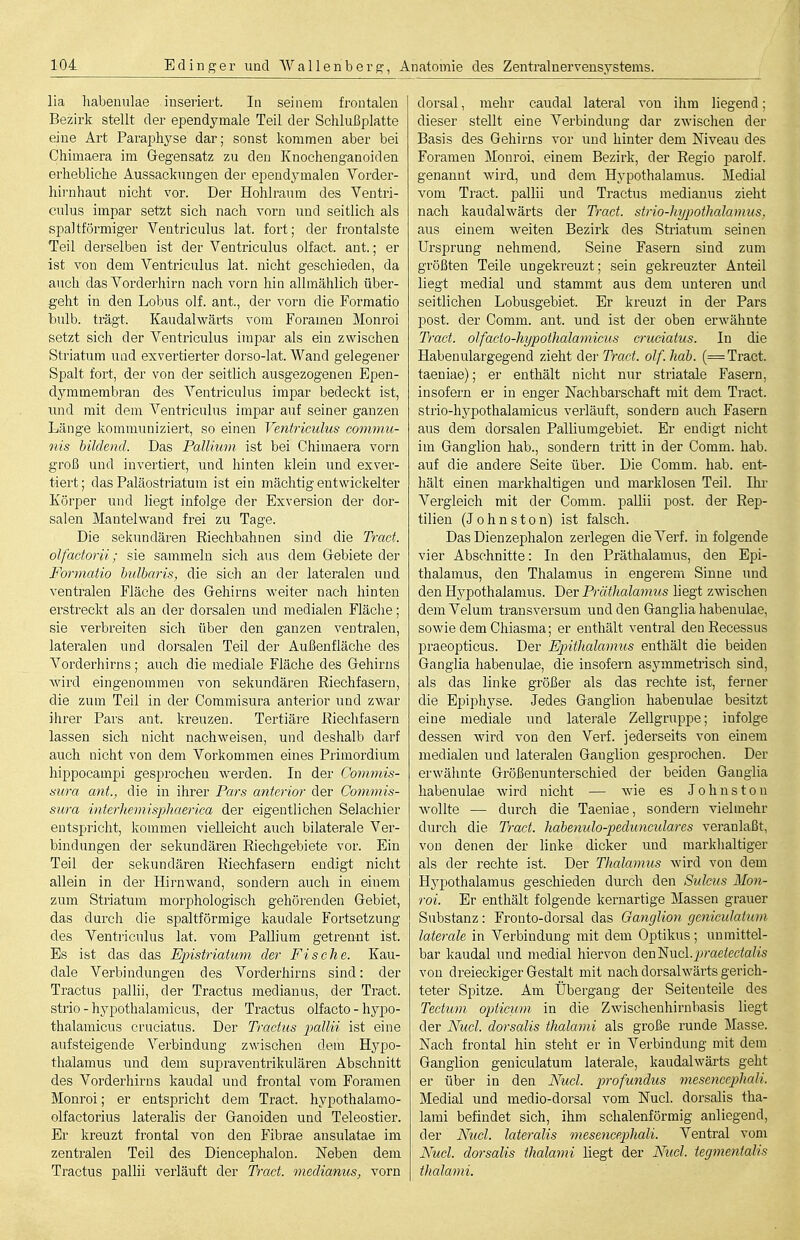 lia liabenulae inseriert. In seinem frontalen Bezirk stellt der ependymale Teil der Schlußplatte eine Art Paraphyse dar; sonst kommen aber bei Chimaera im Gegensatz zu den Knochenganoiden erhebliche Aussackimgen der ependymalen Vorder- hirnhaut nicht vor. Der Hohlraum des Ventri- culus impar setzt sich nach vorn und seitlich als spaltförmiger Ventriculus lat. fort; der frontalste Teil derselben ist der Ventriculus olfact. ant.; er ist von dem Ventriculus lat. nicht geschieden, da auch das Vorderhirn nach vorn hin allmählich über- geht in den Lobus olf. ant., der vorn die Formatio bulb. trägt. Kaudalwärts vom Forainen Monroi setzt sich der Ventriculus impar als ein zwischen Striatum und exvertierter dorso-lat. Wand gelegener Spalt fort, der von der seitlich ausgezogenen Epen- dymmembran des Ventriculus impar bedeckt ist, und mit dem Ventriculus impar auf seiner ganzen Länge kommuniziert, so einen Ventriculus commu- nis bildend. Das Pallium ist bei Chimaera vorn groß und invertiert, und hinten klein und exver- tiert; das Paläostriatum ist ein mächtig entwickelter Körper und liegt infolge der Exversion der dor- salen Mantehvand frei zu Tage. Die sekimdären Riechbahnen sind die Tract. olfactorii; sie sammeln sich aus dem Gebiete der Formatio hulbaris, die sich an der lateralen und ventralen Fläche des Gehirns weiter nach hinten erstreckt als an der dorsalen und medialen Fläclie; sie verbreiten sich über den ganzen ventralen, lateralen und dorsalen Teil der Außenfläche des Vorderhirns; auch die mediale Fläche des Gehirns wird eingenommen von sekundären Riechfasern, die zum Teil in der Commisura anterior und zwar ihrer Pars ant. kreuzen. Tertiäre Rieclifasern lassen sich nicht nachweisen, und deshalb darf auch nicht von dem Vorkommen eines Primordium hippocampi gesprochen werden. In der Commis- üura ant., die in ihrer Pars anterior der Commis- sura interhemisphaerica der eigentlichen Selachier entspricht, kommen vielleicht auch bilaterale Ver- bindungen der sekundären Riechgebiete vor. Ein Teil der sekundären Riechfasern endigt nicht allein in der Hirnwand, sondern auch in einem zum Striatum morphologisch gehörenden Gebiet, das durch die spaltförmige kaudale Fortsetzung des Ventriculus lat. vom Pallium getrennt ist. Es ist das das Epistriatum der Fische. Kau- dale Verbindungen des Vorderhirns sind: der Tractus pallii, der Tractus medianus, der Tract. strio - hypothalamicus, der Tractus olfacto - hypo- thalamicus cruciatus. Der Tractus pallii ist eine aufsteigende Verbindung zwischen dem Hypo- thalamus und dem supraventrikulären Abschnitt des Vorderhirns kaudal und frontal vom Foramen Monroi; er entspricht dem Tract. hypothalamo- olfactorius lateralis der Ganoiden und Teleostier. Er kreuzt frontal von den Fibrae ansulatae im zentralen Teil des Diencephalon. Neben dem Tractus pallii verläuft der Troßt. medianus, vorn dorsal, mehr caudal lateral von ihm liegend; dieser stellt eine Verbindung dar zwischen der Basis des Gehirns vor und hinter dem Niveau des Foramen Monroi, einem Bezirk, der Regio parolf. genannt wird, und dem Hypothalamus. Medial vom Tract. pallii und Tractus medianus zieht nach kaudalwärts der Tract. strio-hypothalamus, aus einem weiten Bezirk des Striatum seinen Ursprung nehmend. Seine Fasern sind zum größten Teile ungekreuzt; sein gekreuzter Anteil liegt medial und stammt aus dem unteren und seitlichen Lobusgebiet. Er kreuzt in der Pars post. der Comm. ant. und ist der oben erwähnte Tract. olfacto-hypothalamicus cruciatus. In die Habenulargegend zieht der TVad. olf.hab. (= Tract. taeniae); er enthält nicht nur striatale Fasern, insofern er in enger Nachbarschaft mit dem Tract. strio-hypothalamicus verläuft, sondern auch Fasern aus dem dorsalen Palliumgebiet. Er endigt nicht im GangHon hab., sondern tritt in der Comm. hab. auf die andere Seite über. Die Comm. hab. ent>- hält einen markhaltigen und marklosen Teil. Ihi- Vergleich mit der Comm. paUii post. der Rep- tilien (J 0 h n s 10 n) ist falsch. Das Dienzephalon zerlegen die Verf. in folgende vier Abschnitte: In den Präthalamus, den Epi- thalamus, den Thalamus in engerem Sinne und den Hypothalamus. D&v Präthalamus liegt zwischen demVelum transversum und den Ganglia habenulae, sowie dem Chiasma; er enthält ventral deuRecessus praeopticus. Der Epithalamus enthält die beiden Ganglia habenulae, die insofern asymmetrisch sind, als das linke größer als das rechte ist, ferner die Epiphyse. Jedes Ganglion habenulae besitzt eine mediale und laterale Zellgruppe; infolge dessen wird von den Verf. jederseits von einem medialen und lateralen Ganglion gesprochen. Der erwähnte Größenunterschied der beiden Ganglia habenulae wird nicht — wie es Johuston w^oUte — durch die Taeniae, sondern vielmehr durch die T-act. hahenulo-pedimculares veranlaßt, von denen der linke dicker und markhaltiger als der rechte ist. Der Thalamus wird von dem Hypothalamus geschieden durch den Sulcus Mon- roi. Er enthält folgende kernartige Massen grauer Substanz: Frouto-dorsal das Ganglion geniculatum laterale in Verbindung mit dem Optikus; unmittel- bar kaudal und medial hiervon deü'Nucl.jn'aetecialis von dreieckiger Gestalt mit nach dorsalwärts gerich- teter Spitze. Am Übergang der Seitenteile des Tectum opiicum in die Zwischenhirnbasis liegt der Nucl. dorsalis thalami als große runde Masse. Nach frontal hin steht er in Verbindung mit dem Ganglion geniculatum laterale, kaudalwärts geht er über in den Nucl. profundus mesencepliaU. Medial und medio-dorsal vom Nucl. dorsalis tha- lami befindet sich, ihm schalenförmig anliegend, der Nucl. lateralis mesencepliaU. Ventral vom Nucl. dorsalis thalami liegt der Nucl. tegmentalis thalami.