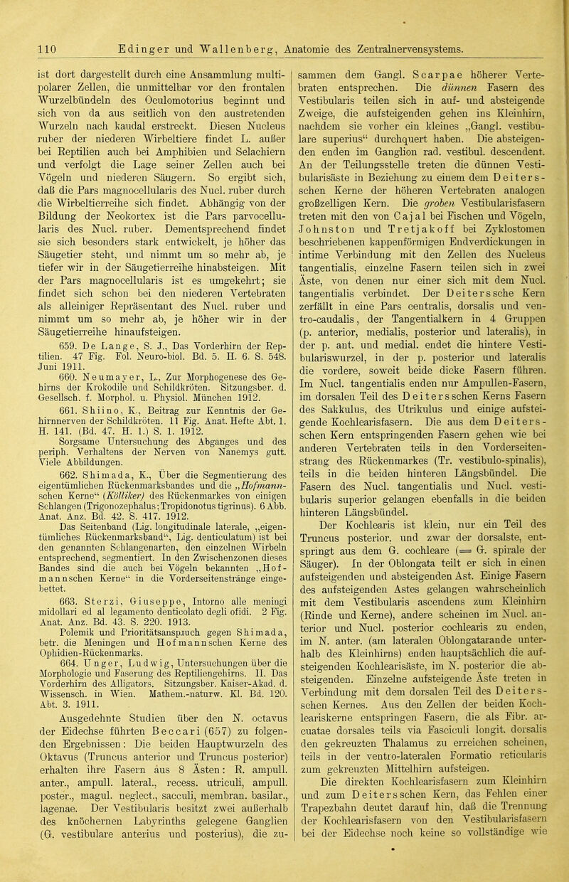 ist dort dargestellt durch eine Ansammlung multi- polarer Zellen, die unmittelbar vor den frontalen Wurzelbündeln des Oculomotorius beginnt und sich von da aus seitlich von den austretenden Wurzeln nach kaudal erstreckt. Diesen Nucleus ruber der niederen Wirbeltiere findet L. außer bei Reptilien auch bei Amphibien und Selachieru und verfolgt die Lage seiner Zellen auch bei Vögeln und niederen Säugern. So ergibt sich, daß die Pars magnocellularis des Nucl. ruber durch die Wirbeltierreihe sich findet. Abhängig von der Bildung der Neokortex ist die Pars parvocellu- laris des Nucl. ruber. Dementsprechend findet sie sich besonders stark entwickelt, je höher das Säugetier steht, und nimmt um so mehr ab, je tiefer wir in der Säugetierreihe hinabsteigen. Mit ■der Pars magnocellularis ist es umgekehrt; sie findet sich schon bei den niederen Vertebraten als alleiniger Repräsentant des Nucl. ruber und nimmt um so mehr ab, je höher wir in der Säugetierreihe hinaufsteigen. 659. De Lange, S. J.. Das Vorderhira der Eep- tilien. 47 Fig. Fol. Neuro-bioi. Bd. 5. H. 6. S. 548. Juni 1911. 660. Neumaj'er, L., Zur Morphogenese des Ge- hirns der Krokodile und Schildkröten. Sitzungsber. d. Gesellsch. f. Movphol. u. Physiol. München 1912. 661. Shiino, K., Beitrag zur Kenntnis der Ge- hirnnerven der Schildkröten. 11 Fig. Anat. Hefte Abt. 1. H. 141. (Bd. 47. H. 1.) S. 1. 1912. Sorgsame Untersuchung des Abganges und des periph. Verhaltens der Nerven von Nanemys gutt. Viele Abbildungen. 662. Shimada, K., Über die Segmentierung des eigentümlichen Rückenmarksbandes und die „Rofmann- schen Kerne (KöUiker) des Rückenmarkes von einigen Schlangen (Trigonozephalus; Tropidonotus tigrinus). 6 Abb. Anat. Anz. Bd. 42. S. 417. 1912. Das Seitenband (Lig. longitudinale laterale, „eigen- tümUches Rückenmarksband, Lig. denticulatum) ist bei den genannten Schlangenarten, den einzelnen Wirbeln entsprechend, segmentiert. In den Zwischenzonen dieses Bandes sind die auch bei Vögeln bekannten „Hof- mannschen Kerne in die Vorderseitenstränge einge- bettet. 663. Sterzi, Giuseppe, Intorno alle meningi midollari ed al legamento denticolato degli ofidi. 2 Fig. Anat. Anz. Bd. 43. S. 220. 1913. Polemik und Prioritätsansp.iuch gegen Shimada, betr. die Meningen und Hof mann sehen Kerne des Ophidien-Rückenmarks. 664. U n g e r, Ludwig, Untersuchungen über die Morphologie und Faserung des Reptihengehirns. 11. Das Vorderhirn des Alligators. Sitzungsber. Kaiser-Akad. d. Wissensch, in Wien. Mathem.-naturw. Kl. Bd. 120. Abt. 3. 1911. Ausgedehnte Studien über den N. octavus der Eidechse führten Beccari (657) zu folgen- den Ergebnissen: Die beiden Hauptwurzeln des Oktavus (Truncus anterior und Truncus posterior) erhalten ihre Fasern aus 8 Ästen: R. ampuU. anter., ampull. lateral., recess. utriculi, ampull. poster., magul. neglect., sacculi, membran. basilar., lagenae. Der Vestibularis besitzt zwei außerhalb des knöchernen Labyrinths gelegene Ganglien (G. vestibuläre anterius und posterius), die zu- sammen dem Gangl. Scarpae höherer Verte- braten entsprechen. Die dünnen Fasern des Vestibularis teilen sich in auf- und absteigende Zweige, die aufsteigenden gehen ins Kleinhirn, nachdem sie vorher ein kleines „Gangl. vestibu- läre superius durchquert haben. Die absteigen- den enden im Ganglion rad. vestibul. descendent. An der Teilungsstelle treten die dünnen Vesti- bularisäste in Beziehung zu einem dem Deiters- schen Kerne der höheren Vertebraten analogen großzelligen Kern. Die groben Vestibularisfasern treten mit den von Cajal bei Fischen und Vögeln, Johnston und Tretjakoff bei Zj^klostomen beschriebenen kappenförmigen Eudverdickungen in intime Verbindung mit den Zellen des Nucleus tangentiaüs, einzelne Fasern teilen sich in zwei Äste, von denen nur einer sich mit dem Nucl. taugentialis verbindet. Der Deiters sehe Kern zerfällt in eine Pars centralis, dorsalis und ven- tro-caudalis, der Tangentialkern in 4 Gruppen (p. anterior, medialis, posterior und lateralis), in der p. ant. und medial, endet die hintere Vesti- bulariswurzel, in der p. posterior und lateralis die vordere, soweit beide dicke Fasern führen. Im Nucl. tangentialis enden nur Ampullen-Fasern, im dorsalen Teil des Deiters sehen Kerns Fasern des Sakkulus, des Utrikulus und einige aufstei- gende Kochlearisfasern. Die aus dem Deiters- sehen Kern entspringenden Fasern gehen wie bei anderen Vertebraten teils in den Vorderseiten- straug des Rückenmarkes (Tr. vestibulo-spinalis), teils in die beiden hinteren Längsbündel. Die Fasern des Nucl. tangentialis und Nucl. vesti- bularis superior gelangen ebenfalls in die beiden hinteren Längsbündel. Der Kochlea,ris ist klein, nur ein Teil des Truncus posterior, und zwar der dorsalste, ent- springt aus dem G. cochleare (= G. spirale der Säuger). In der Oblongata teilt er sich in einen aufsteigenden und absteigenden Ast. Einige Fasern des aufsteigenden Astes gelangen wahrscheinlich mit dem Vestibularis ascendens zum Kleinhirn (Rinde und Kerne), andere scheinen im Nucl. an- terior und Nucl. posterior coehlearis zu enden, im N. anter. (am lateralen Oblongatarande unter- halb des Kleinhirns) enden hauptsächlich die auf- steigenden Kochlearisäste, im N. posterior die ab- steigenden. Einzelne aufsteigende Äste treten in Verbindung mit dem dorsalen Teil des Deiters- schen Kernes. Aus den Zellen der beiden Koch- leariskerne entspringen Fasern, die als Fibr. ar- cuatae dorsales teils via Fasciculi longit. dorsalis den gekreuzten Thalamus zu erreichen scheinen, teils in der ventro-lateralen Formatio reticularis zum gekreuzten Mittelhirn aufsteigen. Die direkten Kochlearisfasern zum Kleinhirn und zum Deiters sehen Kern, das Fehlen einer Trapezbahn deutet darauf hin, daß die Trennung der Kochlearisfasern von den Vestibularisfasern bei der Eidechse noch keine so vollständige wie