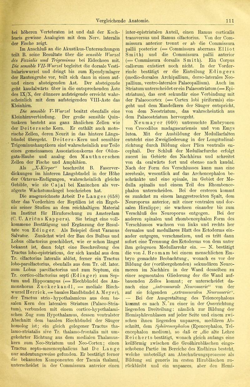 bei höheren Vertebraten ist und daß der Koch- learis gewisse Analogien mit dem Nerv, lateralis der Fische zeigt. Im Anschluß an die Akustikus-Üntersuchungen teilt B. seine Resultate über die sensible Wurzel des Fazialis und Tiigeminus bei Eidechsen mit. Die sensible Vll-Wurxel begleitet die dorsaleVesti- bulariswurzel und dringt bis zum Ependymlager der Rautengrube vor, teilt sich dann in einen auf- und einen absteigenden Ast. Der absteigende geht kaudalwärts über in die entsprechenden Äste des IX/X, der dünnere aufsteigende erreicht wahr- scheinlich mit dem aufsteigenden YIII-Aste das Kleinhirn. Die sensible V-Wurzel besitzt ebenfalls eine Kleinhirnverbindung. Der große sensible Quin- luskern besteht aus ganz ähnlichen Zellen wie der Deiterssehe Kern. Er enthält auch moto- rische Zellen, deren Neurit in das hintere Ijängs- bündel übergeht. Deiters-Kern und sensibler Trigeminushauptkern sind wahrscheinlich nur Teile eines gemeinsamen Assoziationskerns der Oblon- gata-Haube und analog den M a u th n er sehen Zellen der Fische und Amphibien. Als „X-Körper beschreibt ß. Faserver- dickungen im hinteren Längsbündel in der Höhe der Oktavus-Endigungen, wahrscheinlich gleiche Gebilde, wie sie Cajal bei Kaninchen als ver- zögerte Wachstumskegel beschrieben hat. Die ausgezeichnete Arbeit De Langes (658) über das Vorderhirn der Reptihen ist ein Ergeb- nis seiner Studien an dem reichhaltigen Material im Institut für Hirnforschung zu Amsterdam (C. U. Ariens Kap pers). Sie bringt eine voll- kommene Bestätigung und Ergänzung der Resul- tate von E d i n g e r. Als Beispiel dient Varanus Salvator. Zunächst wird der Bau des Bulbus und Lobus olfactorius geschildert, wie er schon längst bekannt ist, dann folgt eine Beschreibung des Tractus lobo-epistriaticus, der sich kaudal aus dem Tr. olfactorius lateralis ablöst, ferner ein Tractus lobo-parolfactorius, ebenfalls aus dem Tr. olf. later. zum Lobus parolfactorius und zum Septum, ein Tr. cortico-olfactorius septi (E d i n g e r) zum Sep- tum und Hippocampus (= Riechbündel des Am- monshorns Z u c k e r k a n d 1, = mediale Riech- wurzel Herrick, = basales Randbündel A. Meyer), der Tractus strio - hypothalamicus aus dem ba- salen Kern des lateralen Striatum (Palaeo-Stria- tum), verbunden mit einem cortico-hypothalami- schen Zug zum Hypothalamus, dessen ventralster Abschnitt dem basalen Riechbündel der Säuger homolog ist; ein gleich gelegener Tractus tha- lamo-striatahs sive Tr. thalamo-frontalis mit um- gekehrter Richtung aus dem medialen Thalamus- kern zum Neo-Striatum und Keo-Cortex; einen Tractus septo-mesencephalicus hat De Lange nur andeutungsweise gefunden. Er bestätigt ferner die bekannten Komponenten der Taenia thalami, unterscheidet in der Commissura anterior einen inter-epistriatalen Anteil, einen Ramus corticalis transversus und Ramus olfactorius. Von der Com- missura anterior trennt er ab die Commissura pallü posterior (= Commissura aberrans Elliot Smith) und die Commissura pallii anterior (= Commissura dorsalis Smith). Ein Corpus callorum existiert noch nicht. In der Vorder- rinde bestätigt er die Einteilung E d i n g e r s (medio-dorsales Archipallium, dorso-laterales Neo- pallium, ventro-laterales Palaeopallium). Auch im Striatum unterscheidet er ein Palaeostiiatum (= Epi- striatum), das erst sekundär eine Verbindung mit der Palaeocortex (= Cortex lobi piriformis) ein- geht und dem Mandelkern der Säuger entspricht, von dem Neostriatum, das wahrscheintich aus dem Palaeostriatum hervorgeht. Neumayer (660) untersuchte Embryonen von Crocodilus madagascariensis und von Emys lutea. Mit der Ausbildung der Medullarfalten entsteht eine Zweigliederung in der Longitudinal- richtung durch Bildung einer Plica ventralis en- cephali. Der Schluß der Medullarfurche erfolgt zuerst im Gebiete des Nachhirns mid schreitet von da orahvärts fort und ebenso nach kaudal. Nach der Form des Verschlusses kann man eine zerebrale, wesentlich auf das Archencephalon be- schränkte und eine spinale, im Gebiet der Me- duUa spinalis und einem Teil des Rhombence- phalon unterscheiden. Bei der ersteren kommt es zunächst zu einem langgestreckten Spalt, dem Neuroporus anterior, mit einer ventralen und dor- salen Hirnlippe; sie wachsen einander bis zum Verschluß des Neuroporus entgegen. Bei der anderen spinalen und rhombencephalen Form des Verschlusses wachsen von links und rechts her dermales und medulläres Blatt des Ectoderms ein- ander entgegen, verschmelzen, und es tritt dann sofort eine Trennung des Ectoderms von dem unter ihm gelegenen Medullarrohr ein. — N. bestätigt die von J. Bromam bei einem menschlichen Em- bryo gemachte Beobachtung, wonach es vor der Bildung der (vorübergehenden) sekundären Neuro- raeren im Nachhirn in der Wand desselben zu einer segmentalen Gliederung der die Wand auf- bauenden Zellen kommt; er unterscheidet da- nach eine „iniramurale Neuromerie von der auf sie folgenden „extranmralen Neuromerie. — Bei der Ausgestaltung des Telencephalons kommt es nach N. zu einer in der ()Me?Tichtung liegenden Dreiteilung: nämlich zur Bildung der Hemisphärenblasen auf jeder Seite und einem zwi- schen ihnen liegenden unpaaren, mediären Ab- schnitt, dem Sphärencephalon (Epencephalon, Tel- encephalon medium), so daß er „die alte Lehre Reicherts-bestätigt, wonach gleich anfangs eine keilförmig zwischen die Großhirnbläschen einge- schobene Partie im Bereiche des Endhirns besteht, welche unbeteiligt am Abschnürungsprozesse als BUdung sui generis im ersten Hirnbläschen zu- rückbleibt und ein unpaares, aber den Hemi-