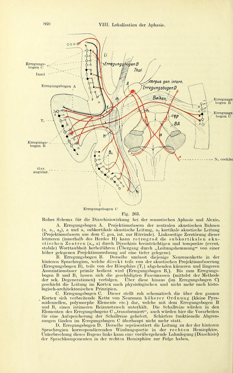 Erregungs- bogen B Erregungs- bogen C N. cochleE Erregungsbogen C Fig. 263. Rohes Schema für die Diaschisiswirkung bei der sensorischen Aphasie und Alexie. A. Erregungsbogen A. Projektionsfasern der zentralen akustischen Bahnen und ai subkortikale akustische Leitung, kortikale akustische Leitung (Projektionsfasern aus dem C. gen. int. zur Hörrinde). Linksseitige Zerstörung dieser letzteren (innerhalb des Herdes H) kann retrograd die subkortikalen aku- stischen Zentren (ai, a) durch Diaschisis beeinträchtigen und temporäre (event. stabile) Worttaubheit herbeiführen (Übergang durch „Leitungshemmung von einer höher gelegenen Projektionsordnung auf eine tiefer gelegene). B. Erregungsbogen B. Derselbe umfasst diejenige Neuronenkette in der hinteren Sprachregion, welche direkt teils von der akustischen Projektionsfaserung (Erregungsbogen B), teils von der Hörsphäre (T,) abgehenden kürzeren und längeren Assoziationsfaser primär bedient wird (Erregungsbogen B,). Bis zum Erregungs- bogen B und Bi lassen sich die geschädigten Fasermassen (mittelst der Methode der Sek. Degenerationen) verfolgen. Über diese hinaus (im Erregungsbogen C) geschieht die Leitung im Kortex nach physiologischen und nicht mehr nach histo- logisch-architektonischen Prinzipien. C. Erregungsbogen C. Dieser stellt roh schematisch die über den ganzen Kortex sich verbreitende Kette von Neuronen höherer Ordnung (kleine Pyra- midenzellen, polymorphe Elemente etc.) dar, welche mit dem Erregungsbogen B und B, einen intimeren Reizaustausch unterhält. Die Schallreize würden in den Elementen des Erregungsbogens C transformiert, auch würden hier die Vorarbeiten für eine Aufspeicherung der Schallreize geliefert. Schärfere funktionelle Abgren- zungen fänden im Erregungsbogen C überhaupt nicht mehr statt. D. Erregungsbogen D. Derselbe repräsentiert die Leitung zu der der hinteren Sprachregion korrespondierenden Windungspartie in der rechten Hemisphäre. Unterbrechimg dieses Bogens links kann eine vorübergehende Lahmlegmig (Diaschisis) der Sprachkomponenten in der rechten Hemisphäre zur Folge haben.