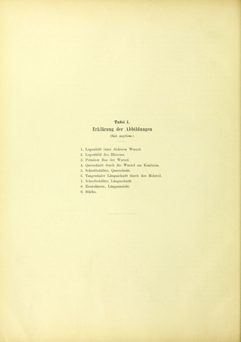 Erklärung der Al)l)il(hmgeii (Ead. angelicae.) 1. Lupenbild einer dickeren Wurzel. 2. Lupenbild des Rhizoms. 3. Primärer Bau der Wurzel. 4. Querschnitt durch die Wurzel am Kambium. 5. Sekretbehälter, Querschnitt. 6. Tangentialer Längsschnitt durch den Holzteil. 7. Sekretbehälter, Längsschnitt. 8. Ersatzfasern, Längsansicht. 9. Stärke.