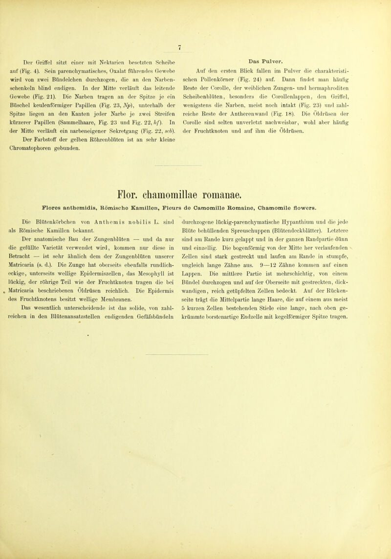 Der Griffel sitzt einer mit Nektarien besetzten Scheibe auf (Fig. 4). Sein parenchyraatisches, Oxalat führendes Gewebe wird von zwei Bündelchen durchzogen, die an den Narben- schenkeln blind endigen. In der Mitte verläuft das leitende Gewebe (Fig. 21). Die Narben tragen an der Spitze je ein Büschel keulenförmiger Papillen (Fig. 23, iVp), unterhalb der Spitze liegen an den Kanten jeder Narbe je zwei Streifen kürzerer Papillen (Sammelhaare, Fig. 23 und Fig. 22, hf). In der Mitte verläuft ein narbeneigener Sekretgang (Fig. 22, sch). Der Farbstoff der gelben Eöhrenblüten ist an sehr kleine Chromatophoren gebunden. Das Pulver. Auf den ersten Blick fallen im Pulver die charakteristi- schen Pollenkörner (Fig. 24) auf. Dann findet man häufig Reste der Corolle, der weiblichen Zungen- und hermaphroditen Scheibenblüten, besonders die Corollenlappen. den Griffel, wenigstens die Narben, meist noch intakt (Fig. 23) und zahl- reiche Reste der Antherenwand (Fig. 18). Die (}ldrüsen der Corolle sind selten unverletzt nachweisbar, wohl aber häufig der Fruchtknoten und aiif ihm die Öldrüsen. Flor, chamoraillae romauae. Flores anthemidis, Römische Kamillen, Pleura de Camomille Romaine, Chamomile flowers. Die Blütenkürbchen von Antliemis nobilis L. sind als Römische Kamillen bekannt. Der anatomische Bau der Zungenblüten — und da nur die gefüllte Varietät verwendet wird, kommen nur diese in Betracht — ist sehr ähnlich dem der Zungenblüten unserer Matricaria (s. d.). Die Zunge hat oberseits ebenfalls rundlich- eckige, unterseits wellige Epidermiszellen, das Mesophyll ist lückig, der röhrige Teil wie der Fruchtknoten tragen die bei , Matricaria beschriebenen Öldrüsen reichlich. Die Epidermis des Fruchtknotens besitzt wellige Membranen. Das wesentlich unterscheidende ist das solide, von zahl- reichen in den BlütenansatzsteUen endigenden Gefäfsbündeln durchzogene lückig-parenchymatische Hypanthium und die jede Blüte behüllenden Spreuschuppen (Blütendeckblätter). Letztere sind am Rande kurz gelappt und in der ganzen Randpartie dünn und einzellig. Die bogenförmig von der Mitte her verlaufenden Zellen sind stark gestreckt und laufen am Rande in stumpfe, ungleich lange Zähne aus. 9—12 Zähne kommen auf einen Lappen. Die mittlere Partie ist mehrschichtig, von einem Bündel durchzogen und auf der Oberseite mit gestreckten, dick- wandigen, reich getüpfelten Zellen bedeckt. Auf der Rücken- seite trägt die Mittelpartie lange Haare, die auf einem aus meist 5 kurzen Zellen bestehenden Stiele eine lange, nach oben ge- krümmte borstenartige Bndzelle mit kegelförmiger Spitze tragen. \