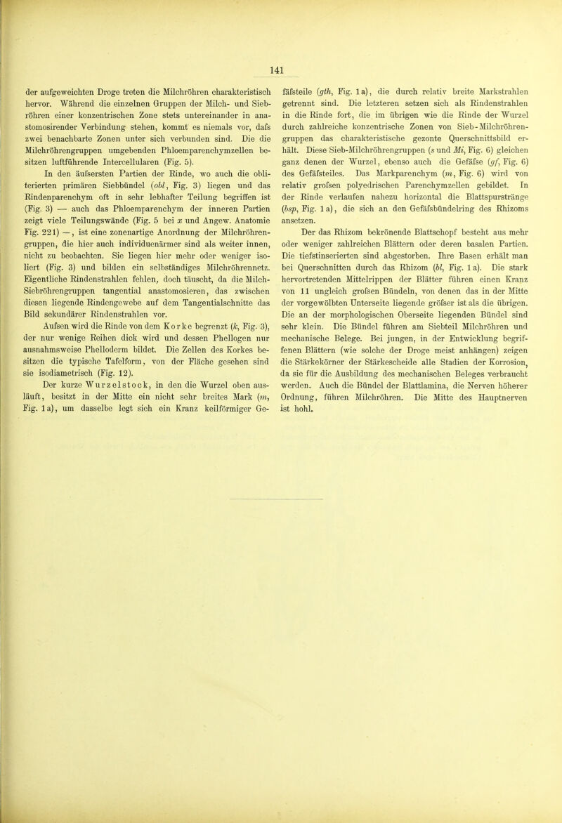 der aufgeweichten Droge treten die Milchröhren charakteristisch hervor. Während die einzelnen Gruppen der Milch- und Sieb- röhren einer konzentrischen Zone stets untereinander in ana- stomosirender Verbindung stehen, kommt es niemals vor, dafs zwei benachbarte Zonen unter sich verbunden sind. Die die Milchröhrengruppen umgebenden Phloemparenchymzellen be- sitzen luftfOhrende Intercellularen (Fig. 5). In den äulsersten Partien der Rinde, wo auch die obli- terierten primären Siebbündel {obl, Fig. 3) liegen und das Rindenparenchym oft in sehr lebhafter Teilung begriifen ist (Fig. 3) — auch das Phloemparenchym der inneren Partien zeigt viele Teilungswände (Fig. 5 bei x und Angew. Anatomie Fig. 221) —, ist eine zonenartige Anordnung der Milchröhren- gruppen, die hier auch individuenärmer sind als weiter innen, nicht zu beobachten. Sie liegen hier mehr oder weniger iso- liert (Fig. 3) und bilden ein selbständiges Milchröhrennetz. Eigentliche Rindenstrahlen fehlen^ doch täuscht, da die Milch- Siebröhrengruppen tangential anastomosieren, das zwischen diesen liegende Rindengewebe auf dem Tangentialschnitte das Bild sekundärer Rindenstrahlen vor. Aufsen wird die Rinde von dem Korke begrenzt (k, Fig. 3), der nur wenige Reihen dick wird und dessen Phellogen nur ausnahmsweise Phelloderm bildet. Die Zellen des Korkes be- sitzen die typische Tafelform, von der Fläche gesehen sind sie isodiametrisch (Fig. 12). Der kurze Wurzelstock, in den die Wurzel oben aus- läuft, besitzt in der Mitte ein nicht sehr breites Mark {m, Fig. la), um dasselbe legt sich ein Kranz keilförmiger Ge- fäfsteile {gth, Fig. 1 a), die durch relativ breite Markstrahlen getrennt sind. Die letzteren setzen sich als Rindenstrahlen in die Rinde fort, die im übrigen wie die Rinde der Wurzel durch zahlreiche konzentrische Zonen von Sieb - Milchröhren- gruppen das charakteristische gezonte Querschnittsbild er- hält. Diese Sieb-Milchröhrengruppen (s und Mi^ Fig. 6) gleichen ganz denen der Wurzel, ebenso auch die Gefäfse {gf, Fig. 6) des Gefäfsteiles. Das Markparenchym (m, Fig. 6) wird von relativ grofsen polyedrischen Parenchymzellen gebildet. In der Rinde verlaufen nahezu horizontal die Blattspurstränge {bsp, Fig. 1 a), die sich an den Gefafsbündelring des Rhizoms ansetzen. Der das Rhizom bekrönende Blattschopf besteht aus mehr oder weniger zahlreichen Blättern oder deren basalen Partien. Die tiefstinserierten sind abgestorben. Ihre Basen erhält man bei Querschnitten durch das Rhizom {bl, Fig. 1 a). Die stark hervortretenden Mittelrippen der Blätter führen einen Kranz von 11 ungleich grofsen Bündeln, von denen das in der Mitte der vorgewölbten Unterseite liegende gröfser ist als die übrigen. Die an der morphologischen Oberseite liegenden Bündel sind sehr klein. Die Bündel führen am Siebteil Milchröhren und mechanische Belege. Bei jungen, in der Entwicklung begrif- fenen Blättern (wie solche der Droge meist anhängen) zeigen die Stärkekörner der Stärkescheide alle Stadien der Korrosion, da sie für die Ausbildung des mechanischen Beleges verbraucht werden. Auch die Bündel der Blattlamina, die Nerven höherer Ordnung, führen Milchröhren. Die Mitte des Hauptnerven ist hohl.