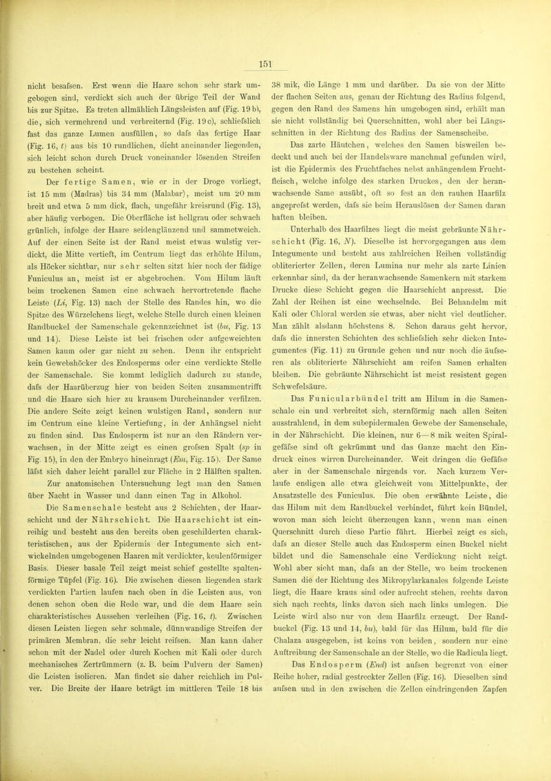 nicht besafsen. Erst wenn die Haare schon sehr stark -um- gebogen sind, verdickt sich auch der übrige Teil der Wand bis zur Spitze. Es treten allmählich Längsleisten auf (Fig. 19 b\ die, sich vermehrend und verbreiternd (Fig. 19c), schliefslich fast das ganze Lumen ausfüllen, so dafs das fertige Haar (Fig. 16, t) aus bis 10 rundlichen, dicht aneinander liegenden, sich leicht schon durch Druck voneinander lösenden Streifen zu bestehen scheint. Der fertige Samen, Avie er in der Droge vorliegt, ist 15 mm (Madras) bis 34 mm (Malabar), meist um 20 mm breit und etwa 5 mm dick, flach, ungefähr kreisrund (Fig. 13), aber häufig verbogen. Die Oberfläche ist hellgrau oder schwach grünlicli, infolge der Haare seidenglänzend und sammetweich. Auf der einen Seite ist der Rand meist etwas wulstig ver- dickt, die Mitte vertieft, im Centrum liegt das erhöhte Hilum, als Höcker sichtbar, nur sehr selten sitzt hier noch der fädige Funiculus an, meist ist er abgebrochen. Yoni Hilum läuft beim trockenen Samen eine schwach hervortretende flache Leiste (Li, Fig. 13) nach der Stelle des Randes hin, wo die Spitze des Würzelchens liegt, welche Stelle durch einen kleinen Randbuckel der Samenschale gekennzeichnet ist {bu, Fig. 13 und 14). Diese Leiste ist bei frischen oder aufgeweichten Samen kaum oder gar nicht zu sehen. Denn ihr entspricht kein Gewebshöcker des Endosperms oder eine verdickte Stelle der Samenschale. Sie kommt lediglich dadurch zu stände, dafs der Haarüberzug hier von beiden Seiten zusammentrifft und die Haare sich hier zu krausem Durcheinander verfilzen. Die andere Seite zeigt keinen wulstigen Rand, sondern nur im Centrum eine kleine Vertiefung, in der Anhängsel nicht zu finden sind. Das Endosperm ist nur an den Rändern ver- wachsen, in der Mitte zeigt es einen grofsen Spalt {sp in Fig. 15), in den der Embryo hineinragt [Em, Fig. 15). Der Same läfst sich daher leicht parallel zur Fläche in 2 Hälften spalten. Zur anatomischen Untersuchung legt man den Samen über Nacht in Wasser und dann einen Tag in Alkohol. Die Samenschale besteht aus 2 Schichten, der Haar- schicht und der Nähr schiebt. Die Haarschicht ist ein- reihig und besteht aus den bereits oben geschilderten charak- teristischen, aus der Epidermis der Integumente sich ent- wickelnden umgebogenen Haaren mit verdickter, keulenförmiger Basis. Dieser basale Teil zeigt meist schief gestellte spalten- förmige Tüpfel (Fig. 16). Die zwischen diesen liegenden stark verdickten Paitien laufen nach oben in die Leisten aus, von denen schon oben die Rede war, und die dem Haare sein charakteristisches Aussehen verleihen (Fig. 16, t). Zwischen diesen Leisten liegen sehr schmale, dünnwandige Streifen der primären Membran, die sehr leicht reifsen. Man kann daher schon mit der Nadel oder durch Kochen mit Kali oder durch mechanisches Zertrümmern (z. B. beim Pulvern der Samen) die Leisten isolieren. Man findet sie daher reiclüich im Pul- ver. Die Breite der Haare beträgt im mittleren Teile 18 bis 38 mik, die Länge 1 mm und darüber. Da sie von der Mitte der flachen Seiten aus, genau der Richtung des Radiiis folgend, gegen den Rand des Samens hin umgebogen sind, erhält man sie nicht vollständig bei Querschnitten, wohl aber bei Längs- schnitten in der Richtung des Radius der Samenscheibe. Das zarte Häutchen, welches den Samen bisweilen be- deckt und auch bei der Handelsware manchmal gefunden wird, ist die Epidermis des Fruchtfaches nebst anhängendem Frucht- fleisch, welche infolge des starken Druckes, den der heran- wachsende Same ausübt, oft so fest an den rauhen Haarfilz angeprefst werden, dafs sie beim Herauslösen der Samen daran haften bleiben. Unterhalb des Haarfilzes liegt diemeist gebräunte Nähr- schicht (Fig. 16, N). Dieselbe ist hervorgegangen aus dem Integumente und besteht aus zahlreichen Reihen vollständig obliterierter Zellen, deren Lumina nur mehr als zarte Linien erkennbar sind, da der heranwachsende Samenkern mit starkem Drucke diese Schicht gegen die Haarschicht anpresst. Die Zahl der Reihen ist eine wechselnde. Bei Behandelm mit Kali oder Chloral werden sie etwas, aber nicht viel deutlicher. Man zählt alsdann höchstens 8. Schon daraus geht hervor, dafs die innersten Schichten des schliefslich sehr dicken Inte- gumentes (Fig. 11) zu Grunde gehen und nur noch die äufse- ren als obliterierte Nährschicht am reifen Samen erhalten bleiben. Die gebräunte Nähi'schicht ist meist resistent gegen Schwefelsäure. Das Funicularbündel tritt am Hilum in die Samen- schale ein und verbreitet sich, sternförmig nach allen Seiten ausstrahlend, in dem subepidermalen Gewebe der Samenschale, in der Nährschicht. Die kleinen, niu' 6—8 mik weiten Spiral- gefäfse sind oft gekrümmt und das Ganze macht den Bin- druck eines wirren Durcheinander. Weit dringen die Gefäfse aber in der Samenschale nirgends vor. Nach kurzem Ver- laufe endigen alle etwa gl eich weit vom Mittelpunkte, der Ansatzstelle des Funiculus. Die oben erwähnte Leiste, die das Hilum mit dem Randbuckel verbindet, führt kein Bündel, wovon man sich leicht überzeugen kann, wenn man einen Querschnitt durch diese Partie führt. Hierbei zeigt es sicli, dafs an dieser Stelle auch das Endosperm einen Buckel nicht bildet und die Samenschale eine Verdickung nicht zeigt. Wohl aber sieht man, dafs an der Stelle, wo beim trockenen Samen die der Richtung des Mikropylarkanales folgende Leiste liegt, die Haare kraus sind oder aufrecht stehen, rechts davon sich nach rechts, links davon sich nach links umlegen. Die Leiste wird also nur von dem Haarfllz erzeugt. Der Rand- buckel (Fig. 13 und 14, 5m), bald für das Hilum, bald für die Chalaza ausgegeben, ist keins von beiden, sondern nur eine Auftreibung der Samenschale an der Stelle, wo die Radicula liegt. Das Endosperm (End) ist aufsen begrenzt von einer Reihe hoher, radial gestreckter Zellen (Fig. 16). Dieselben sind aufsen und in den zwischen die Zellen eindringenden Zapfen