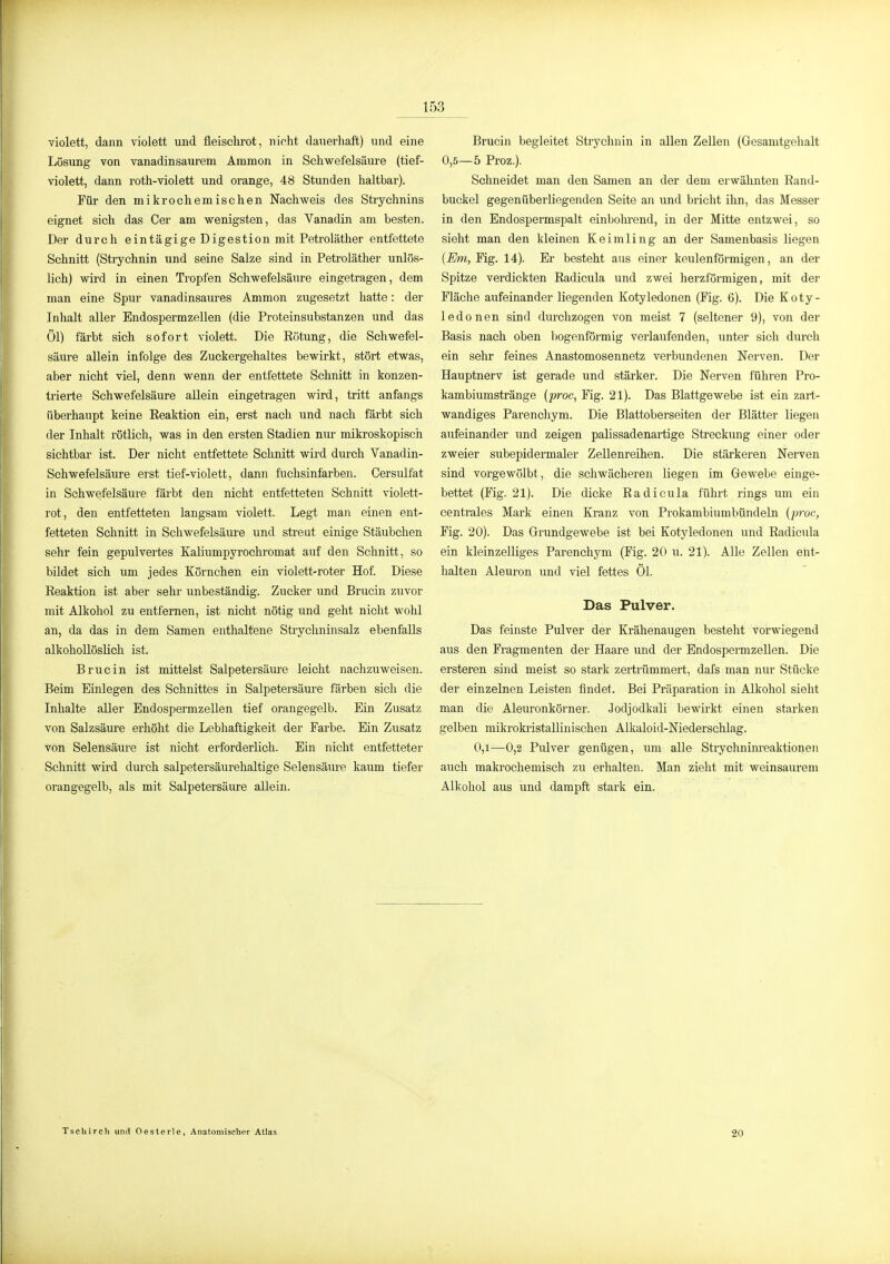 violett, dann violett und fleiselirot, nicht dauerhaft) und eine Lösung von vanadinsaurem Ammon in Schwefelsäure (tief- violett, dann roth-violett und orange, 48 Stunden haltbar). Für den mikrochemischen Nachweis des Strychnins eignet sich das Oer am wenigsten, das Vanadin am besten. Der durch eintägige Digestion mit Petroläther entfettete Schnitt (Strychnin und seine Salze sind in Petroläther unlös- lich) wird in einen Tropfen Schwefelsäure eingetragen, dem man eine Spur vanadinsaures Ammon zugesetzt hatte: der Inhalt aller Endospermzellen (die Proteinsubstanzen und das Öl) färbt sich sofort violett. Die Rötung, die Schwefel- säure allein infolge des Zuckergehaltes bewirkt, stört etwas, aber nicht viel, denn wenn der entfettete Schnitt in konzen- trierte Schwefelsäure aUein eingetragen wird, tritt anfangs überhaupt keine Reaktion ein, erst nach und nach färbt sich der Inhalt rötlich, was in den ersten Stadien nur mikroskopisch sichtbar ist. Der nicht entfettete Schnitt wird durch Vanadin- Schwefelsäure erst tief-violett, dann fuchsinfarben. Cersulfat in Schwefelsäure färbt den nicht entfetteten Schnitt violett- rot, den entfetteten langsam violett. Legt man einen ent- fetteten Schnitt in Schwefelsäure und streut einige Stäubchen sehr fein gepulvertes Kaliumpyrochromat auf den Schnitt, so bildet sich um jedes Körnchen ein violett-roter Hof. Diese Reaktion ist aber sehr unbeständig. Zucker und Brucin zuvor mit Alkohol zu entfernen, ist nicht nötig und geht nicht wohl an, da das in dem Samen enthaltene Strychninsalz ebenfalls alkohollöslich ist. Brucin ist mittelst Salpetersäure leicht nachzuweisen. Beim Einlegen des Schnittes in Salpetersäure färben sich die Inhalte aller Endospermzellen tief orangegelb. Ein Zusatz von Salzsäure erhöht die Lebhaftigkeit der Farbe. Ein Zusatz von Selensäure ist nicht erforderlich. Ein nicht entfetteter Schnitt wird durch salpetersäurehaltige Selensäure kaum tiefer orangegelb, als mit Salpetersäure allein. Brucin begleitet Strychnin in allen Zellen (Gesamtgehalt 0,5—5 Proz.). Schneidet man den Samen an der dem erwähnten Rand- buckel gegenüberliegenden Seite an und bricht ihn, das Messer in den Endospermspalt einbohrend, in der Mitte entzwei, so sieht man den kleinen Keimling an der Samenbasis liegen {Em, Fig. 14). Er besteht aus einer keulenförmigen, an der Spitze verdickten Radicula und zwei herzförmigen, mit dei- Fläche aufeinander liegenden Kotyledonen (Fig. 6). Die Koty- ledonen sind durchzogen von meist 7 (seltener 9), von der Basis nach oben bogenförmig verlaufenden, unter sich durch ein sehr feines Anastomosennetz verbundenen Nerven. Der Hauptnerv ist gerade und stärker. Die Nerven führen Pro- kambiumstränge {proc, Fig. 21). Das Blattgewebe ist ein zart- wandiges Parenchym. Die Blattoberseiten der Blätter liegen aufeinander und zeigen palissadenartige Streckung einer oder zweier subepidermaler Zellenreihen. Die stärkeren Nerven sind vorgewölbt, die schwächeren liegen im Gewebe einge- bettet (Fig. 21). Die dicke Radicula führt rings um ein centrales Mark einen Kranz von Prokambiumbündeln {p-oc, Fig. 20). Das Grundgewebe ist bei Kotyledonen und Radicula ein kleinzelliges Parenchym (Fig. 20 u. 21). Alle Zellen ent- halten Aleuron und viel fettes Öl. Das Pulver. Das feinste Pulver der Krähenaugen besteht vorwiegend aus den Fragmenten der Haare und der Endospermzellen. Die ersteren sind meist so stark zertrümmert, dafs man nur Stücke der einzelnen Leisten findet. Bei Präparation in Alkohol sieht man die Aleuronkörner. Jodjodkali bewirkt einen starken gelben mikrokiistallinischen Alkaloid-Niederschlag. 0,1—0,2 Pulver genügen, um alle Strychnim-eaktionen auch makrochemisch zu erhalten. Man zieht mit weinsaurem Alkohol aus und dampft stark ein. Tschirch und Oesterle, Anatomischer Atlas 20
