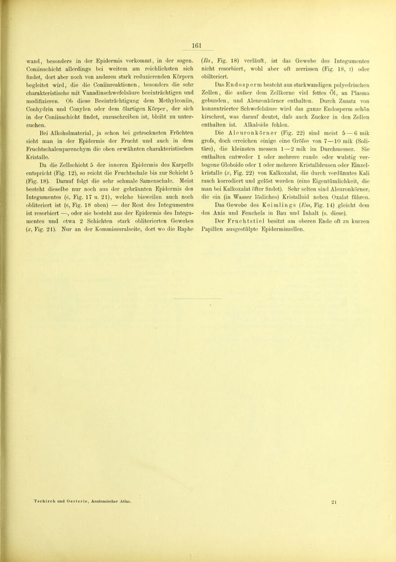 161 wand, besonders in der Epidermis vorkommt, in der sogen. Coniinschicht allerdings bei weitem am reichlichsten sich findet, dort aber noch von anderen stark reduzierenden Körpern begleitet wird, die die Coniinreaktionen, besonders die sehr charakteristische mit Yanadinschwefelsäure beeinträchtigen und modifizieren. Ob diese Beeintrcächtigung dem Methylconiin, Conhydrin und Conylen oder dem ölartigen Körper, der sich in der Coniinschicht findet, zuzuschreiben ist, bleibt zu unter- suchen. Bei Alkoholmaterial, ja schon bei getrockneten Früchten sieht man in der Epidermis der Frucht und auch in dem Fruchtschalenparenchym die oben erwähnten charakteristischen Kristalle. Da die Zellschicht 5 der inneren Epidermis des Karpells entspricht (Fig. 12), so reicht die Fruchtschale bis zur Schicht 5 (Fig. 18). Darauf folgt die sehr schmale Samenschale. Meist besteht dieselbe nur noch aus der gebräunten Epidermis des Integumentes (e, Fig. 17 u. 21), Avelche bisweilen auch noch obliteriert ist (g, Fig. 18 oben) — der Kest des Integumentes ist resorbiert —, oder sie besteht aus der Epidermis des Integu- mentes und etwa 2 Schichten stark obliterierten Gewebes {x, Fig. 21). Nur an der Kommissuralseite, dort wo die Eaphe (Äa, Fig. 18) verläuft, ist das Gewebe des Integumentes nicht resorbiert, wohl aber oft zerrissen (Fig. 18, 7) oder obliteriert. DasEndosperm besteht aus starkwandigen polyedrischen Zellen, die aufser dem Zellkerne viel fettes Öl, an Plasma gebunden, und Aleuronkörner enthalten. Durch Zusatz von konzentrierter Schwefelsäure wird das ganze Endosperm schön kirschrot, was darauf deutet, dafs auch Zucker in den Zellen enthalten ist. Alkaloide fehlen. Die Aleuronkörner (Fig. 22) sind meist 5 — 6 mik grofs, doch erreichen einige eine Gröfse von 7—10 mik (Soli- täre), die kleinsten messen 1—2 mik im Durchmesser. Sie enthalten entweder 1 oder mehrere runde oder wulstig ver- bogene Globoide oder 1 oder mehrere Kristalldrusen oder Einzel- kristalle {x, Fig. 22) von Kalkoxalat, die durch verdünntes Kali rasch korrodiert und gelöst werden (eine Eigentümlichkeit, die man bei Kalkoxalat öfter findet). Sehr selten sind Aleuronkörner, die ein (in Wasser lösliches) Kristalloid neben Oxalat führen. Das Gewebe des Keimlings (Em,Yig. 14) gleicht dem des Anis und Fenchels in Bau und Inhalt (s. diese). Der Fruchtstiel besitzt am oberen Ende oft zu kurzen Papillen ausgestülpte Epidermiszellen. Tschirch und Oesterle, Auatomiscber Atlas. 21