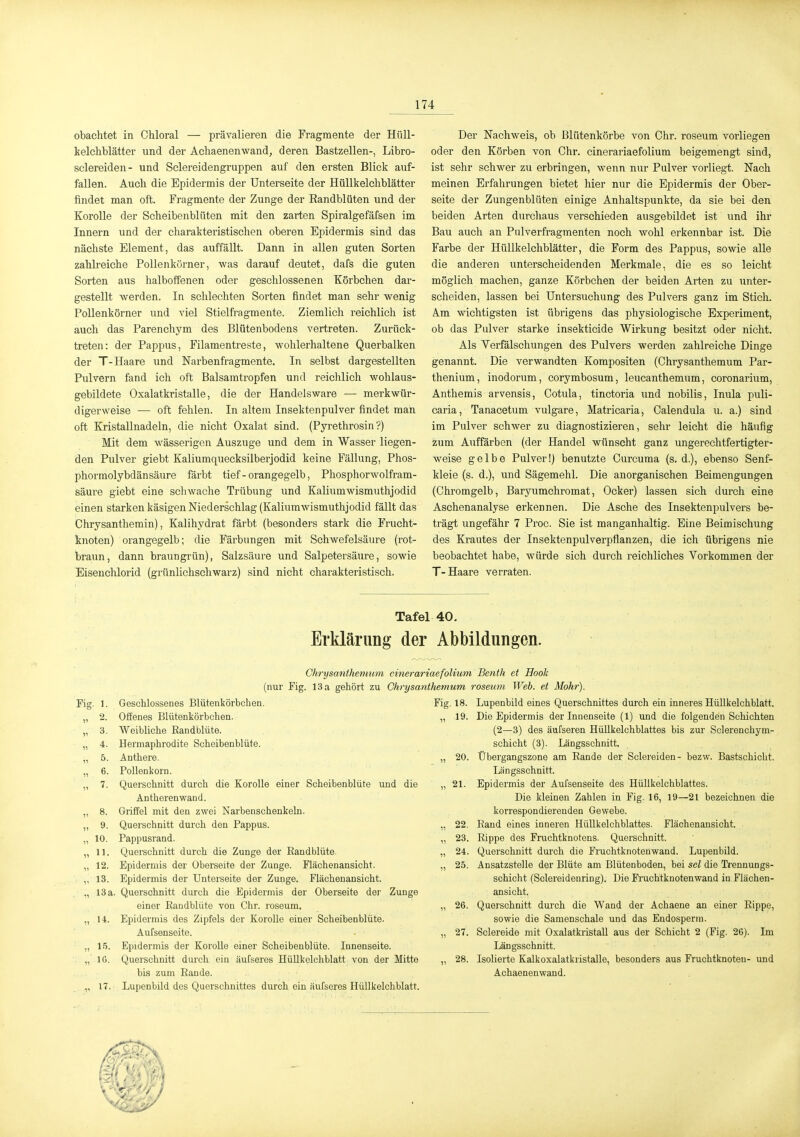 obaclitet in Chloral — prävalieren die Fragmente der Hüll- kelchblätter und der Acliaenenwand, deren Bastzellen-, Libro- sclereiden- und Sclereidengruppen auf den ersten Blick auf- fallen. Auch die Epidermis der Unterseite der Hüllkelchblätter findet man oft. Fragmente der Zunge der Eandblüten und der Korolle der Seheibenblüten mit den zarten Spiralgefäfsen im Innern und der charakteristischen oberen Epidermis sind das nächste Element, das auffällt. Dann in allen guten Sorten zahlreiche Pollenkörner, was darauf deutet, dafs die guten Sorten aus halboffenen oder geschlossenen Körbchen dar- gestellt werden. In schlechten Sorten findet man sehr wenig Pollenkörner und viel Stielfragmente. Ziemlich reichlich ist auch das Parenchym des Blütenbodens vertreten. Zurück- treten: der Pappus, Filamentreste, wohlerhaltene Querbalken der T-Haare und Narbenfragmente. In selbst dargestellten Pulvern fand ich oft Balsamtropfen und reichlich wohlaus- gebildete Oxalatkristalle, die der Handelsware — merkwür- digerweise — oft fehlen. In altera Insektenpulver findet man oft Kristallnadeln, die nicht Oxalat sind. (Pyrethrosin ?) Mit dem wässerigen Auszuge und dem in Wasser liegen- den Pulver giebt Kaliumquecksilberjodid keine Fällung, Phos- phormolybdänsäure färbt tief-orangegelb, Phosphorwolfram- säure giebt eine schwache Trübung und Kaliumwismuthjodid einen starken käsigen Niederschlag (Kaliumwismuthjodid fällt das Chrysanthemin), Kalihydrat färbt (besonders stark die Frucht- knoten) orangegelb; die Färbungen mit Schwefelsäure (rot- braun, dann braun grün), Salzsäure und Salpetersäure, sowie Eiseuchlorid (grünlichschwarz) sind nicht charakteristisch. Der Nachweis, ob Blütenkörbe von Chr. roseum vorliegen oder den Körben von Chr. cinerariaefolium beigemengt sind, ist sehr schwer zu erbringen, wenn nur Pulver vorliegt. Nach meinen Erfahrungen bietet hier nur die Epidermis der Ober- seite der Zungenblüten einige Anhaltspunkte, da sie bei den beiden Arten durchaus verschieden ausgebildet ist und ihr Bau auch an Pulverfragmenten noch wohl erkennbar ist. Die Farbe der Hüllkelchblätter, die Form des Pappus, sowie alle die anderen unterscheidenden Merkmale, die es so leicht möglich machen, ganze Körbchen der beiden Arten zu unter- scheiden, lassen bei Untersuchung des Pulvers ganz im Stich. Am v^dchtigsten ist übrigens das physiologische Experiment, ob das Pulver starke insekticide Wirkung besitzt oder nicht. Als Verfälschungen des Pulvers werden zahlreiche Dinge genannt. Die verwandten Kompositen (Chrysanthemum Par- thenium, inodorum, corymbosum, leucanthemum, coronarium, Anthemis arvensis, Cotula, tinctoria und nobilis, Inula puli- caria, Tanacetum vulgare, Matricaria, Calendula u. a.) sind im Pulver schwer zu diagnostizieren, sehr leicht die häufig zum Auffärben (der Handel wünscht ganz ungerechtfertigter- weise gelbe Pulver!) benutzte Curcuma (s. d.), ebenso Senf- kleie (s. d.), und Sägemehl. Die anorganischen Beimengungen (Chromgelb, Baryumchromat, Ocker) lassen sich durch eine Aschenanalyse erkennen. Die Asche des Insektenpulvers be- trägt ungefähr 7 Proc. Sie ist manganhaltig. Eine Beimischung des Krautes der Insektenpulverpflanzen, die ich übrigens nie beobachtet habe, würde sich durch reichliches Vorkommen der T-Haare verraten. Tafel 40. Erklärung der Abbildungen. Chrysanthemum cinerariaefolium Benth et Hook (nur Fig. 13 a gehört zu Chrysanthemum roseum Web. et Mohr). Fig. 1. „ 3. „ 4. „ 5. „ 6. 7. „ 9. „ 10. „ 11. „ 12. „ 13. ., 13 a. „ 14. „ 1.5. „ IG. „ 17. Geschlossenes Blütenkörbchen. Ofienes Blütenkörbchen. Weibliche Eandblüte. Hermaphrodite Scheibenblüte. Anthere. Pollenkorn. Querschnitt durch die Korolle einer Scheibenblüte und die Antherenwand. Griffel mit den zwei Narbenschenkeln. Querschnitt durch den Pappus. Pappusraad. Quei'schnitt durch die Zunge der Eandblüte. Epidermis der Oberseite der Zunge. Flächenansicht. Epidermis der Unterseite der Zunge. Flächenansicht. Querschnitt durch die Epidermis der Oberseite dei' Zunge einer Eandblüte von Clir. roseum. Epidermis des Zipfels der Korolle einer Scheibenblüte. Aufsenseite. Epidermis der Korolle einer Scheibenblüte. Innenseite. Querschnitt durch ein äufseres Hüllkelchblatt von der Mitte bis zum Eande. Lupenbild des Querschnittes durch ein äufseres Hüllkelchblatt. 20. 21. 22 Fig. 18. Lupenbild eines Querschnittes durch ein inneres Hüllkelchblatt. „ 19. Die Epidermis der Innenseite (1) und die folgenden Schichten (2—3) des äufseren Hüllkelchblattes bis zur Sclerenchym- schicht (3). Längsschnitt. Übergangszone am Eande der Sclereiden- bezw. Bastschicht. Längsschnitt. Epidermis der Aufsenseite des Hüllkelchblattes. Die kleinen Zahlen in Fig. 16, 19—21 bezeichnen die korrespondierenden Gewebe. Eand eines inneren Hüllkelchblattes. Flächenansicht. 23. Eippe des Fruchtknotens. Querschnitt. 24. Querschnitt durch die Fruchtknotenwand. Lupenbild. 25. Ansatzstelle der Blüte am Blütenboden, bei sei die Ti'ennungs- schicht (Sclereidenring). Die Fi'uchtknotenwand in Flächen- ansicht. Querschnitt durch die Wand der Achaene an einer Eippe, sowie die Samenschale und das Endosperm. Sclereide mit Oxalatkristall aus der Schicht 2 (Fig. 26). Im Längsschnitt. 28. Isolierte Kalkoxalatkristalle, besonders aus Fruchtknoten- und Achaenenwand. 26. 27.