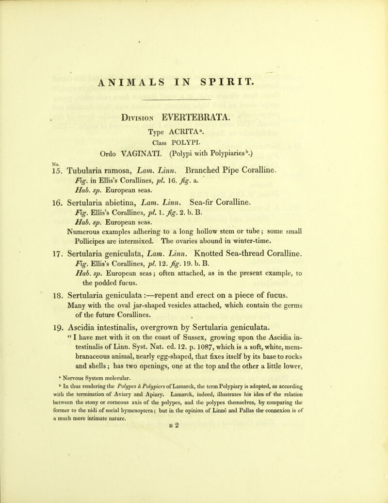 Division EVERTEBRATA. Type ACRITA^ Class POLYPI. Ordo VAGINATI. (Polypi with Polypiaries''.) No. 15. Tubularia ramosa, Lam. Linn. Branched Pipe Coralline. Fig. in Ellis's Corallines, pi. 16. Jig. a. Hab. sp. European seas. 16. Sertularia abietina, Lam. Linn. Sea-fir Coralline. Fig. Ellis's Corallines, pi. 1. Jig. 2. b. B. Hab. sp. European seas. Numerous examples adhering to a long hollow stem or tube; some small Polhcipes are intermixed. The ovaries abound in winter-time. 17. Sertularia geniculata, Lam. Linn. Knotted Sea-thread Coralline. Fig. Ellis's Corallines, pi. 12. Jig. 19. b. B. Hab. sp. European seas; often attached, as in the present example, to the podded fucus. 18. Sertularia geniculata :—repent and erect on a piece of fucus. Many with the oval jar-shaped vesicles attached, which contain the germs of the future Corallines. 19. Ascidia intestinalis, overgrown by Sertularia geniculata.  I have met with it on the coast of Sussex, growing upon the Ascidia in- testinalis of Linn. Syst. Nat. ed. 12. p. 1087, which is a soft, white, mem- branaceous animal, nearly egg-shaped, that fixes itself by its base to rocks and shells; has two openings, one at the top and the other a little lower, * Nervous System molecular. In thus rendering the Polypes a Poly piers of Lamarck, the term Polypiary is adopted, as according with the termination of Aviary and Apiary. Lamarck, indeed, illustrates his idea of the relation between the stony or corneous axis of the polypes, and the polypes themselves, by comparing the former to the nidi of social hymenoptera; but in the opinion of Linne and Pallas the connexion is of a much more intimate nature.