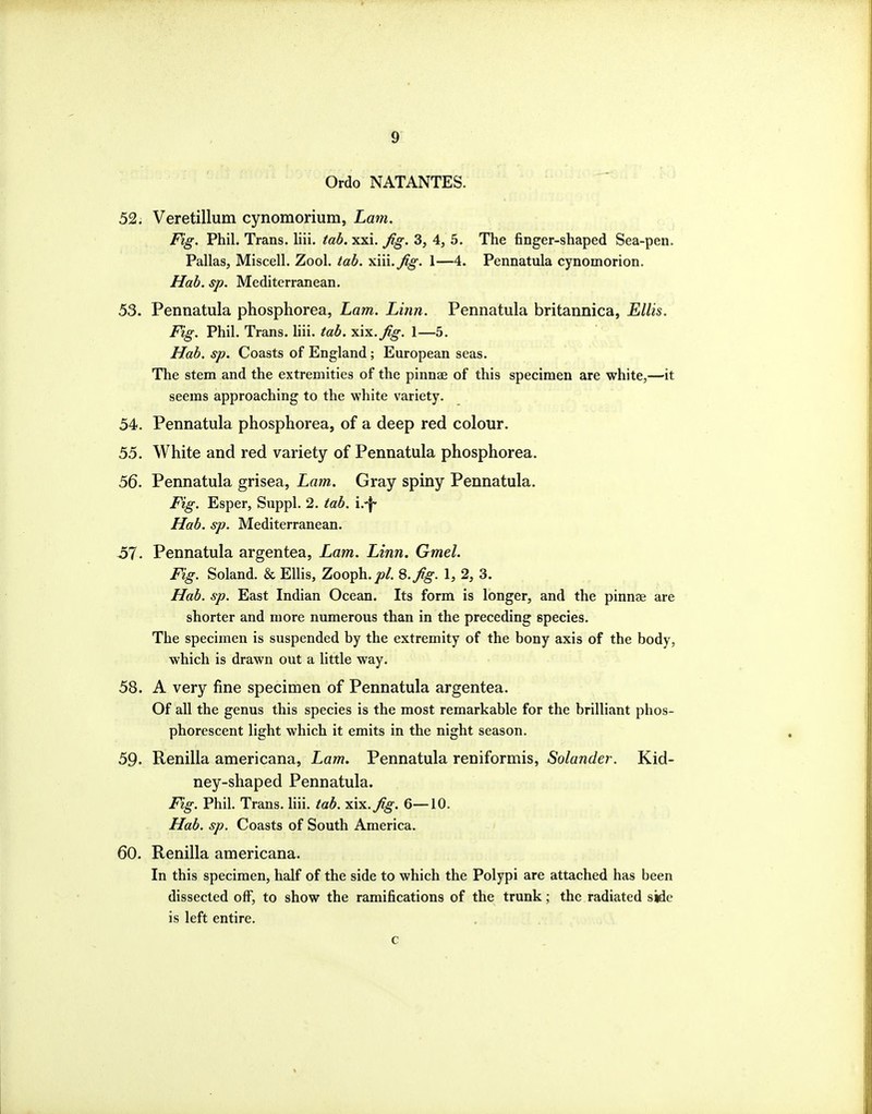 Ordo NATANTES. 52. Veretillum cynomorium. Lam. Fig, Phil. Trans, liii. tab. xxi. ^g. 3, 4, 5. The finger-shaped Sea-pen. Pallas, Miscell. Zool. tab. xiii.^^-. 1—4. Pennatula cynomorion. Hab. sp. Mediterranean. 53. Pennatula phosphorea, Lam. Linn. Pennatula britannica, Ellis. Fig. Phil. Trans, hii. tab. jdx.Jig. 1—5. Hab. sp. Coasts of England; European seas. The stem and the extremities of the pinnae of this specimen are white,—it seems approaching to the white variety. 54. Pennatula phosphorea, of a deep red colour. 55. White and red variety of Pennatula phosphorea. 56. Pennatula grisea, Lam.. Gray spiny Pennatula. Fig. Esper, Suppl. 2. tab. Hab. sp. Mediterranean. Si. Pennatula argentea, Lam. Linn. Gmel. Fig. Soland. & Ellis, Zooph. jo/. 8. Jig. 1, 2, 3. Hab. sp. East Indian Ocean. Its form is longer, and the pinnae are shorter and more numerous than in the preceding species. The specimen is suspended by the extremity of the bony axis of the body, which is drawn out a little way, 58. A very fine specimen of Pennatula argentea. Of all the genus this species is the most remarkable for the brilliant phos- phorescent light which it emits in the night season. 59. Renilla americana, Lam. Pennatula reniformis, Solander. Kid- ney-shaped Pennatula. Fig. Phil. Trans, liii. tab. xix.^^. 6—10. Hab. sp. Coasts of South America. 60. Renilla americana. In this specimen, half of the side to which the Polypi are attached has been dissected off, to show the ramifications of the trunk; the radiated side is left entire. c