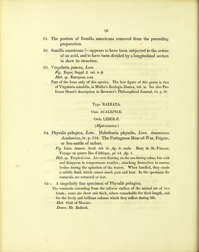 1© 61. The portion of Renilla americana removed from the preceding preparation. » • 62. Renilla americana ?—appears to have been subjected to the action of an acid, and to have been divided by a longitudinal section to show its structure. 63. Virgularia juncea, Lam. Fig. Esper, Suppl. 2. tab. iv.-|- Hab. sp. European seas. Part of the bone only of this species. The best figure of this genus is that of Virgularia mirabilis, in Miiller's Zoologia Danica, tab. xi. See also Pro- fessor Grant's description in Brewster's Philosophical Journal, vii. p. 30. Type RADIATA. Class ACALEPH^. Ordo LIBERIE. {HydrostaticcB.) 64. Physalis pelagica, Lam. Holothuria physalis, Linn. Amanitates AcadamiccE, iv. p. 254. The Portuguese Man-of-War, Frigate, or Sea-nettle of sailors. Fig. Linn. Amoen. Acad. tab. iii. fig. 6. mala. Bory de St.-Vincent, Voyage en quatre lies d'Afrique, pi. 54. fig. 1. Hab. sp. Tropical seas. Are seen floating on the sea during calms, but sink and disappear in tempestuous weather; attaching themselves to marine bodies during the agitation of the waters. When handled, they exude a subtile fluid, which causes much pain and heat. In the specimen the tentacula are retracted or lost. 64 A. A singularly fine specimen of Physalis pelagica. The tentacula extending from the inferior surface of the animal are of two kinds ; some are short and thick, others remarkable for their length, and for the lively and brilliant colours which they reflect during life. Hab. Gulf of Mexico. Donor, Mr. Bullock.
