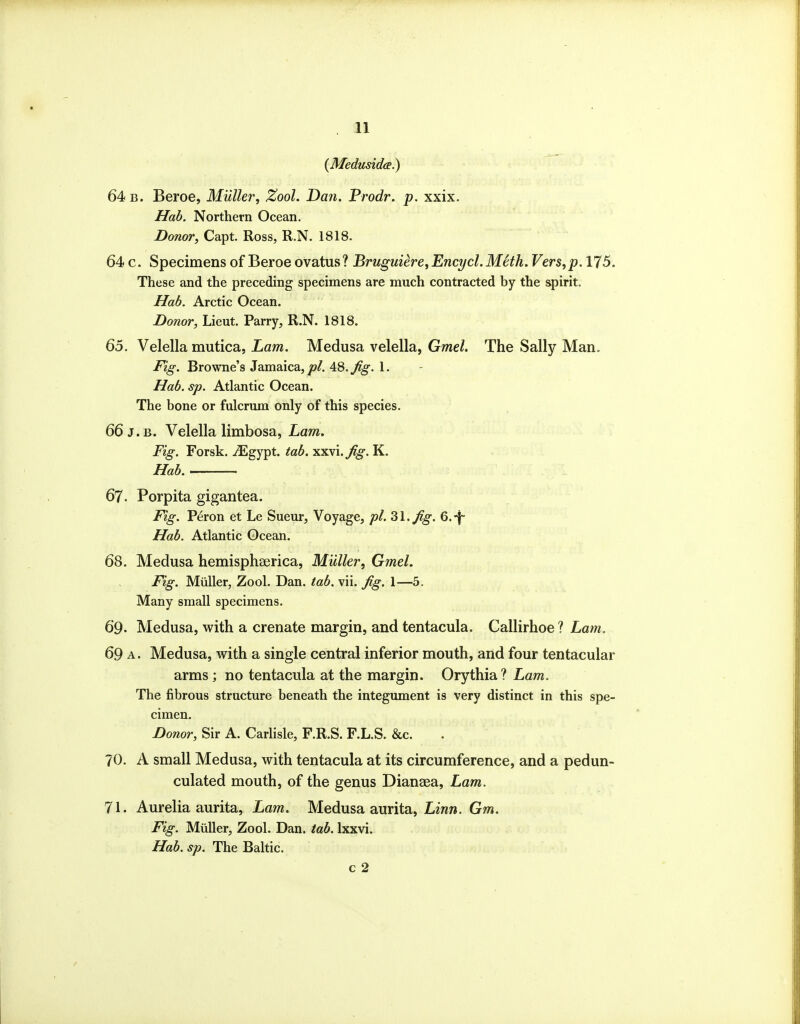 (Medusida.) 64 b. Beroe, Miiller, Zool. Dan. Prodr. p. xxix. Ilab. Northern Ocean. Donor, Capt. Ross, R.N. 1818. 64 c. Specimens of Beroe ovatus ? Bruguiere, Encycl. Meth. Vers, p. 175. These and the preceding specimens are much contracted by the spirit. Ilab. Arctic Ocean. Donor, Lieut. Parry, R.N. 1818. 65. Velella mutica, Lam. Medusa velella, Gmel. The Sally Man. Itg. Browne's Jamaica, pi. 48. Jig. 1. Had. sp. Atlantic Ocean. The bone or fulcrum only of this species. 66 J. B. Velella limbosa, Lam. Fig. Forsk. iEgypt. tab. -ss-Vi.fig. K. Hab. 67. Porpita gigantea. Fig. Peron et Le Sueur, Voyage, pi. 3\.Jig. 6.*|~ Hab. Atlantic Ocean. 68. Medusa hemisphaerica, Miiller, Gmel. Fig. Miiller, Zool. Dan. tab. vii. ^g. 1—5. Many small specimens. 69. Medusa, with a crenate margin, and tentacula. Callirhoe ? Lam. 69 A. Medusa, with a single central inferior mouth, and four tentacular arms; no tentacula at the margin. Orythia ? Lam. The fibrous structure beneath the integument is very distinct in this spe- cimen. Donor, Sir A. Carlisle, F.R.S. F.L.S. &c. . 70. A small Medusa, with tentacula at its circumference, and a pedun- culated mouth, of the genus Dianaea, Lam. 71. Aurelia aurita, Lam. Medusa aurita, Liww. Gw. Fig. Miiller, Zool. Dan. tab. Ixxvi. Hab. sp. The Baltic. c 2