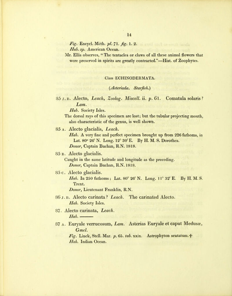 Fig. Encycl. Meth. pL7\. fig. 1.2. Hab. sp. American Ocean. Mr. Ellis observes,  The tentacles or claws of all these animal flowers that were preserved in spirits are greatly contracted.—Hist, of Zoophytes, Class ECHINODERMATA. {AsteriadcB, Starfish.) 85 J. B. Alecto. Leach, Zoolog. MiscelL ii. p. 6l. Comatula Solaris ? Lam. Hab. Society Isles. The dorsal rays of this specimen are lost; but the tubular projecting mouth, also characteristic of the genus, is well shown. 85 a. Alecto glacialis, Leach. Hab. A very fine and perfect specimen brought up from 226 fathoms, in Lat. 80 26' N. Long. 12° 30' E. By H. M. S. Dorothea. Donor, Captain Buchan^ R.N. 1818. 85 B. Alecto glacialis. Caught in the same latitude and longitude as the preceding. Donor, Captain Buchan, R.N. 1818. 85 c. Alecto glacialis. Hab. In 250 fathoms ; Lat. 80° 26' N. Long. 11° 32' E. By H. M. S. Trent. Donor, Lieutenant Franklin, R.N. 86 J.B. Alecto carinata? Leach. The carinated Alecto. Hab. Society Isles. 87- Alecto carinata, Leach. Hab. 87 A. Euryale verrucosum, Lam. Asterias Euryale et caput Medusae, Gmel. Fig. Linck, Stell. Mar. p. 65. tab. xxix. Astrophyton scutatum.-f- Hab. Indian Ocean.