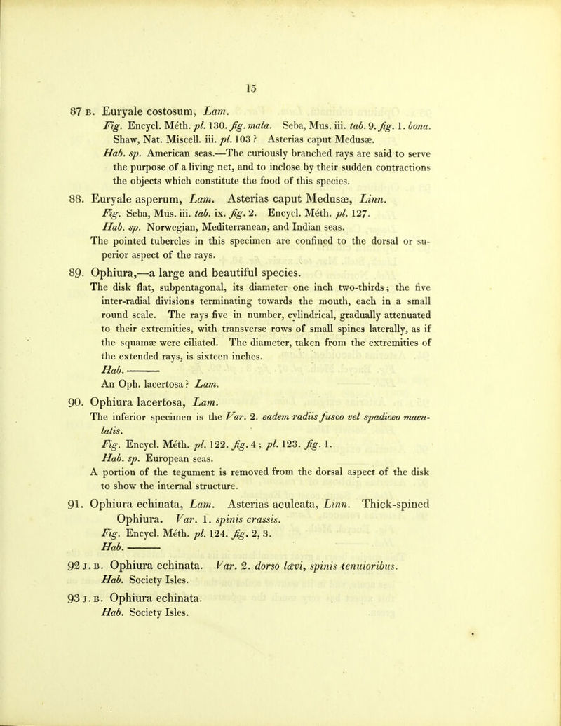 87 B. Euryale costosum, Lam. Fig. Encycl. Meth. pi. 130.^^. mala. Seba, Mus. iii. tab. 9. fig. 1. bona. Shaw, Nat. Miscell. iii. pi. 103 ? Asterias caput Medusae. Hab. sp. American seas.—The curiously branched rays are said to serve the purpose of a living net, and to inclose by their sudden contractions the objects which constitute the food of this species. 88. Euryale asperum, Lam. Asterias caput Medusae, Linn. Fig. Seba, Mus. iii. tab. ix. fig. 2. Encycl. Meth. pi. 127. Hab. sp. Norwegian, Mediterranean, and Indian seas. The pointed tubercles in this specimen are confined to the dorsal or su- perior aspect of the rays. 89- Ophiura,—a large and beautiful species. The disk flat, subpentagonal, its diameter one inch two-thirds; the five inter-radial divisions terminating towards the mouth, each in a small round scale. The rays five in number, cylindrical, gradually attenuated to their extremities, with transverse rows of small spines laterally, as if the squamae were ciliated. The diameter, taken from the extremities of the extended rays, is sixteen inches. Hab. An Oph. lacertosa? Larn. 90. Ophiura lacertosa, Lam. The inferior specimen is the Var.2. eadem radiis fusco vel spadiceo macu- latis. Fig. Encycl. Meth. pi. \22. fig.A-, pi. 123. 1. Hab. sp. European seas. A portion of the tegument is removed from the dorsal aspect of the disk to show the internal structure. 91. Ophiura ecliinata, Lam. Asterias aculeata, Linn. Thick-spined Ophiura. Var. 1. spinis crassis. Fig. Encycl. Meth. pi. 124. fig. 2, 3. Hab. 92 J. B. Ophiura echinata. Var. 2. dorso IcEvi, spinis ienuioribiis. Hab. Society Isles. 93 J. B. Ophiura echinata. Hab. Society Isles.