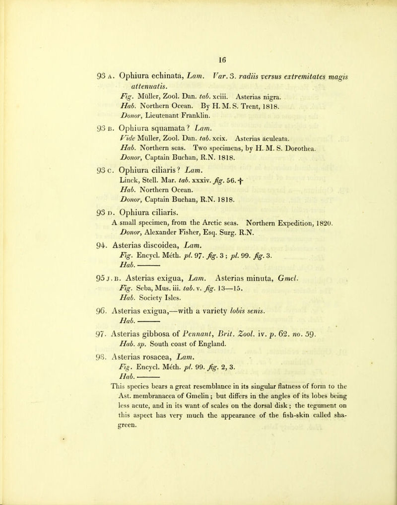 93 A. Ophiura echinata, Lam. Far. 3. radiis versus extremitates magis atteniiatis. Fig. Miiller, Zool. Dan, tab. xciii. Asterias nigra. Hab. Northern Ocean. By H. M. S. Trent, 1818. Donor, Lieutenant Franklin. 93 b. Ophiura squamata? Lam. Vide Miiller, ZooL Dan. tab. xcix. Asterias aculeata. Hab. Northern seas. Two specimens, by H. M. S. Dorothea. Donor, Captain Buchan, R.N. 1818. 93 c. Ophiura ciliaris ? Lam. Linck, SteU. Mar. tab. xxxiv. Jig. 56. -f- Hab. Northern Ocean. Donor, Captain Buchan, R.N. 1818. 93 D. Ophiura ciliaris. A small specimen, from the Arctic seas. Northern Expedition, 1820. Donor^ Alexander Fisher, Esq. Surg. R.N. 94. Asterias discoidea, Lam. Fig. Encycl. Meth. pi. 97. Jig. 3 ; pi. 99. Jig. 3. Hab. 95 J. B. Asterias exigua, Lam. Asterias minuta, Gmel. Fig. Seba, Mus. iii. tab. v. fig. 13—15. Hab. Society Isles. 96. Asterias exigua,—with a variety lobis senis. Bab. 97- Asterias gibbosa of Pennant, Brit. Zool. iv. p. 62. no. 59- Hab. sp. South coast of England. 98. Asterias rosacea, Lam. Fig. Encycl. M^th. pi. 99. Jig. 2, 3. Hab. This species bears a great resemblance in its singular flatness of form to the Ast. membranacea of Gmelin ; but differs in the angles of its lobes being less acute, and in its want of scales on the dorsal disk; the tegument on this aspect has very much the appearance of the fish-skin called sha- green.