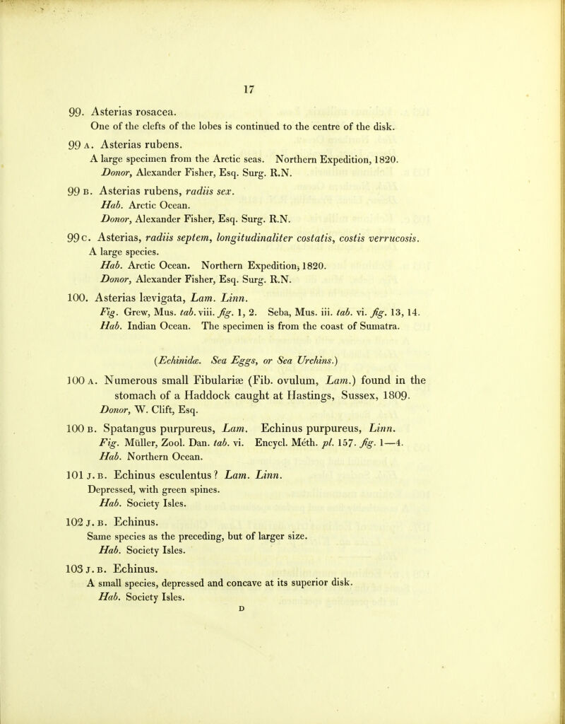 99- Asterias rosacea. One of the clefts of the lobes is continued to the centre of the disk. 99 a. Asterias rubens. A large specimen from the Arctic seas. Northern Expedition, 1820. Donor, Alexander Fisher, Esq. Surg. R.N. 99 B. Asterias rubens, radiis sex. Hah. Arctic Ocean. Donor, Alexander Fisher, Esq. Surg. R.N. 99 c. Asterias, radiis septem, longitudinaliter costafis, costis verrucosis. A large species. Hab. Arctic Ocean. Northern Expeditiouj 1820. Donor, Alexander Fisher, Esq. Surg. R.N. 100. Asterias laevigata, Lam. Linn. Fig. Grew, Mus. tab.vm. ^g. 1, 2. Seba, Mus. iii. tab. vi. ^g. 13, 14. Hab. Indian Ocean. The specimen is from the coast of Sumatra. (-EchinidcB. Sea Eggs, or Sea Urchins.) 100 a. Numerous small Fibulariae (Fib. ovulum, Lam.) found in the stomach of a Haddock caught at Hastings, Sussex, 1809. Donor, W. Clift, Esq. 100 b. Spatangus purpureus, Lam. Echinus purpureus, Linn. Fig. Miiller, Zool. Dan. tab. vi. Encycl. Meth. pi. 157- fig- 1—4. Hab. Northern Ocean. 101 J.B. Echinus esculentus? Lam. Linn. Depressed, with green spines. Hab. Society Isles. 102 J. B. Echinus. Same species as the preceding, but of larger size. Hab. Society Isles. 103 J. B. Echinus. A small species, depressed and concave at its superior disk. Hab. Society Isles. D