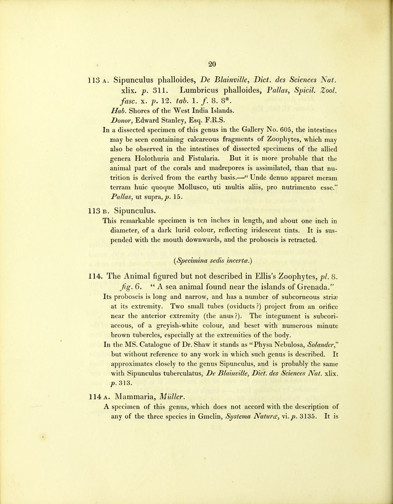 113 a. Sipunculus phalloides, De Blainville, Diet, des Seiences Nat. xlix. p. 311. Lumbricus phalloides, Pallas, Spied. Zool. fasc. X. p. 12. tab. 1. /• 8. 8*. Hab. Shores of the West India Islands. Donor, Edward Stanley, Esq. F.R.S. In a dissected specimen of this genus in the Gallery No. 605, the intestines may be seen containing calcareous fragments of Zoophytes, which may also be observed in the intestines of dissected specimens of the allied genera Holothuria and Fistularia. But it is more probable that the animal part of the corals and madrepores is assimilated, than that nu- trition is derived from the earthy basis.— Unde denuo apparet meram terram huic quoque Mollusco, uti multis aliis, pro nutrimento esse. Pallas, ut supra,/?. 15. 113b. Sipunculus. This remarkable specimen is ten inches in length, and about one inch in diameter, of a dark lurid colour, reflecting iridescent tints. It is sus- pended with the mouth downwards, and the proboscis is retracted. {Specijnina sedis incertce.) 114. The Animal figured but not described in Ellis's Zoophytes, pi. 8. Jig. 6.  A sea animal found near the islands of Grenada. Its proboscis is long and narrow, and has a number of subcorneous striae at its extremity. Two small tubes (oviducts ?) project from an orifice near the anterior extremity (the anus?). The integument is subcori- aceous, of a greyish-white colour, and beset with numerous minute brown tubercles, especially at the extremities of the body. In the MS. Catalogue of Dr. Shaw it stands as Physa Nebulosa, Solander but without reference to any work in which such genus is described. It approximates closely to the genus Sipunculus, and is probably the same with Sipunculus tuberculatus, De Blaijiville, Diet, des Sciences Nat. xlix. p. 313. 114 a. Mammaria, Midler. A specimen of this genus, which does not accord with the description of any of the three species in Gmelin, Systerna Nature, \'\. p. 3135. It is