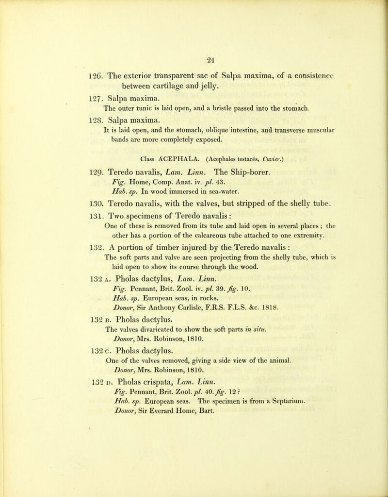 126. The exterior triansparent sac of Salpa maxima, of a consistence between cartilage and jelly. 127. Salpa maxima. The outer tunic is laid open, and a bristle passed into the stomach. 128. Salpa maxima. It is laid open, and the stomach, oblique intestine, and transverse muscular bands are more completely exposed. Class ACEPHALA. (Acephales testaces, Cuvier.) 129- Teredo navalis, Lam. Linn. The Ship-borer. Fig. Home, Comp. Anat. iv. pi. 43. Hab. sp. In wood immersed in sea-water. 130. Teredo navalis, with the valves, but stripped of the shelly tube. 131. Two specimens of Teredo navalis: One of these is removed from its tube and laid open in several places; the other has a portion of the calcareous tube attached to one extremity. 132. A portion of timber injured by the Teredo navalis: The soft parts and valve are seen projecting from the shelly tube, which is laid open to show its course through the wood. 132 A. Pholas dactylus, Lam. Linn. Fig. Pennant, Brit. Zool. iv. pi. 39. Jig. 10. Uab. sp. European seas, in rocks. Donor, Sir Anthony Carhsle, F.R.S. F.L.S. &c. 1818. 132 B. Pholas dactylus. The valves divaricated to show the soft parts in situ. Donor, Mrs. Robinson, 1810. 132 c. Pholas dactylus. One of the valves removed, giving a side view of the animal. Donor, Mrs. Robinson, 1810. 132 D. Pholas crispata, Lam. Linn. Fig. Pennant, Brit. Zool./?/. 40./^. 12? Hab. sp. European seas. The specimen is from a Septarium. Donory Sir Everard Home, Bart.