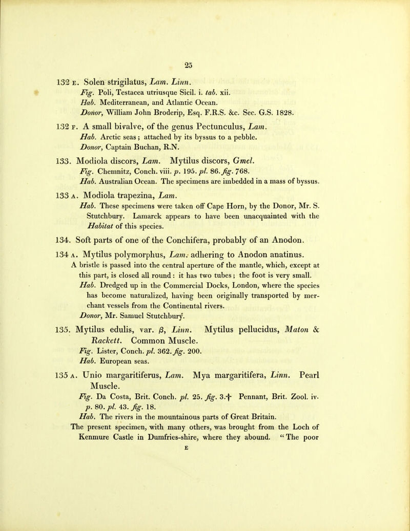 132 E. Solen strigilatus, Lam. Linn. Fig. Poli, Testacea utriusque Sicil. i. tab. xii. Hab. Mediterranean, and Atlantic Ocean. Donor, William John Broderip, Esq. F.R.S. &c. Sec. G.S. 1828. 132 F. A small biv^alve, of the genus Pectunculus, Lam. Hab. Arctic seas; attached by its byssus to a pebble. Donor, Captain Buchan, R.N. 133. Modiola discors, Lam. Mytilus discors, Gmel. Fig. Chemnitz, Conch, viii. p. 195. pi. QQ.Jig. 768. Hab. Australian Ocean. The specimens are imbedded in a mass of byssus. 133 a. Modiola trapezina, Lam. Hab. These specimens were taken off Cape Horn, by the Donor, Mr. S. Stutchbury. Lamarck appears to have been unacquainted with the Habitat of this species. 134. Soft parts of one of the Conchifera, probably of an Anodon. 134 A. Mytilus polymorphus, Lam.- adhering to Anodon anatinus. A bristle is passed into the central aperture of the mantle, which, except at this part, is closed all round: it has two tubes; the foot is very small. Hab. Dredged up in the Commercial Docks, London, where the species has become naturalized, having been originally transported by mer- chant vessels from the Continental rivers. Donor, Mr. Samuel Stutchbury. 135. Mytilus edulis, var. /3, Linn. Mytilus pellucidus, Maton & Rackett. Common Muscle. Fig. Lister, Conch.;?/. 362./^. 200. Hab. European seas. 135 A. Unio margaritiferus, Lam. Mya margaritifera, Linn. Pearl Muscle. Fig. Da Costa, Brit. Conch, pi. 25. ^g. S.-f- Pennant, Brit. Zool. iv. p. 80.pl. 43. Jig. 18. Hab. The rivers in the mountainous parts of Great Britain. The present specimen, with many others, was brought from the Loch of Kenmure Castle in Dumfries-shire, where they abound. The poor
