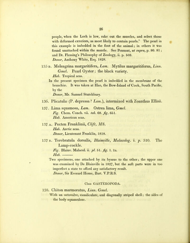 people, when the Loch is low, rake out the muscles, and select those with deformed exteriors, as most likely to contain pearls. The pearl in this example is imbedded in the foot of the animal; in others it was found unattached within the mantle. See Pennant, ut supra^ p. 80. 81 ; and Dr. Fleming's Philosophy of Zoology, ii. p. 503. Donor, Anthony White, Esq. 1828. 135 B. Meleagrina margaritifera, Lam. Mytilus margaritiferus, Linn. Gmel. Pearl Oyster; the black variety. Hab. Tropical seas. In the present specimen the pearl is imbedded in the membrane of the branchiae. It was taken at Hao, the Bow-Island of Cook, South Pacific, by the Donor, Mr. Samuel Stutchbury. 136. Plicatulse (P. depressa? Lam.), intermixed with Zoanthus Ellisii. 137. Lima squamosa, Lam. Ostrea lima, Gmel. Fig. Chem. Conch, vii. tab. 68. Jig. 651. Hab. American seas. 137 A. Pecten Franklinii, Clift, MS. Hab. Arctic seas. Donor, Lieutenant Franklin, 1818. 137 B. Terebratula dorsalis, Blainville, Malacolog. i. p. 510. The Lamp-cockle. Fig. Blainv. Malacol. ii. pi. 51. Jig. 1. la. Hab. Two specimens, one attached by its byssus to the other; the upper one was examined by De Blainville in 1827, but the soft parts were in too imperfect a state to afford any satisfactory result. Donor, Sir Everard Home, Bart. V.P.R.S. Class GASTEROPODA. 338. Chiton marmoratus, Linn. Gmel. With an octovalve, canaliculate, and diagonally striped shell; the sides of the body squamulose.