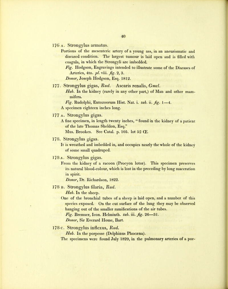 176 A. Strongylus armatus. Portions of the mesenteric artery of a young ass, in an aneurismatic and diseased condition. The largest tumour is laid open and is filled with coagula, in which the Strongyli are imbedded. Fig. Hodgson, Engravings intended to illustrate some of the Diseases of Arteries, 4to. pi. viii. Jig. 2, 3. Donor, Joseph Hodgson, Esq. 1812. 177. Strongylus gigas, Rud. Ascaris renalis, Gmel. Hah. In the kidney (rarely in any other part,) of Man and other mam- mifera. Fig. Rudolphi, Entozoorum Hist. Nat. i. tah. ii. Jig. 1—4. A specimen eighteen inches long. 177 a. Strongylus gigas. A fine specimen, in length twenty inches,  found in the kidney of a patient of the late Thomas Sheldon, Esq. Mus. Brookes. See Catal. p. 105. lot 52 CE. 178. Strongylus gigas. It is wreathed and imbedded in, and occupies nearly the whole of the kidney of some small quadruped. 178 a. Strongylus gigas. From the kidney of a racoon (Procyon lotor). This specimen preserves its natural blood-colour, which is lost in the preceding by long maceration in spirit. Donor^ Dr. Richardson, 1822. 178 B, Strongylus filaria, Rud. Hab. In the sheep. One of the bronchial tubes of a sheep is laid open, and a number of this species exposed. On the cut surface of the lung they may be observed hanging out of the smaller ramifications of the air tubes. Fig. Bremser, Icon. Helminth, tah. iii. Jig. 26—31. Donor, Sir Everard Home, Bart. 178 c. Strongylus inflexus, jRf^c/. Hah. In the porpesse (Delphinus Phocaena). The specimens were found July 1829, in the pulmonary arteries of a por-