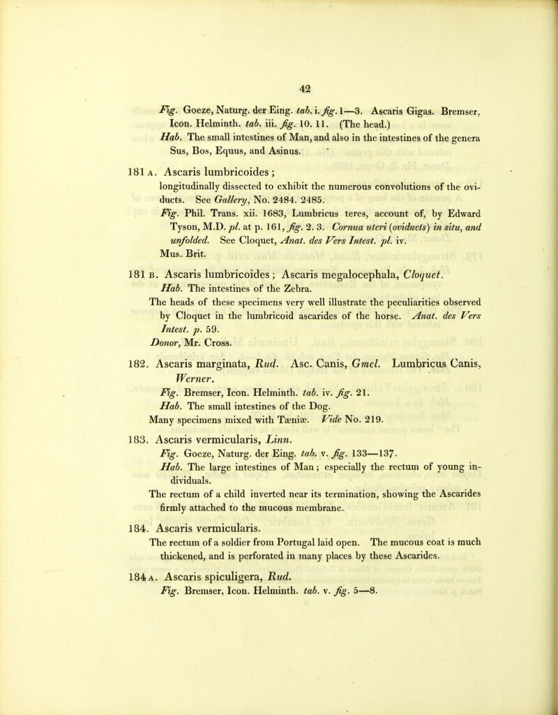 Goeze, Naturg. derEing. ;«^. i./^.l—3. Ascaris Gigas. Bremser, Icon. Helminth, tab. iii. fig. 10. 11. (The head.) Hab. The small intestines of Man, and also in the intestines of the genera Sus, Bos, Equus, and Asinus. 181 A. Ascaris lumbricoides; longitudinally dissected to exhibit the numerous convolutions of the ovi- ducts. See Gallery, No. 2484. 2485. Fig. Phil. Trans, xii. 1683, Lumbricus teres, account of, by Edward Tyson, M.D. pi. at p. \&\, fig. 2. 3. Cornua uteri [oviducts) in situ, and unfolded. See Cloquet, Anat. des Vers Intest. pi. iv. Mus. Brit. 181 B. Ascaris lumbricoides; Ascaris megalocephala, Cloquet. Hab. The intestines of the Zebra. The heads of these specimens very well illustrate the peculiarities observed by Cloquet in the lumbricoid ascarides of the horse. Anat. des Vers Intest. p. 59. Donor, Mr. Cross. 182. Ascaris marginata, Rud. Asc. Canis, Gmel. Lumbricus Canis, Werner. Fig. Bremser, Icon. Helminth, tab. iv. fig. 21. Hab. The small intestines of the Dog. Many specimens mixed with Taeniae. Vide No. 219. 183. Ascaris vermicularis, Linn. Fig. Goeze, Naturg. der Eing. tab. v. fig. 133—137- Hab. The large intestines of Man; especially the rectum of young in- dividuals. The rectum of a child inverted near its termination, showing the Ascarides firmly attached to the mucous membrane. 184. Ascaris vermicularis. The rectum of a soldier from Portugal laid open. The mucous coat is much thickened, and is perforated in many places by these Ascarides. 184 a. Ascaris spiculigera, Rud. Fig. Bremser, Icon. Helminth, tab. v. fig. 5—8.
